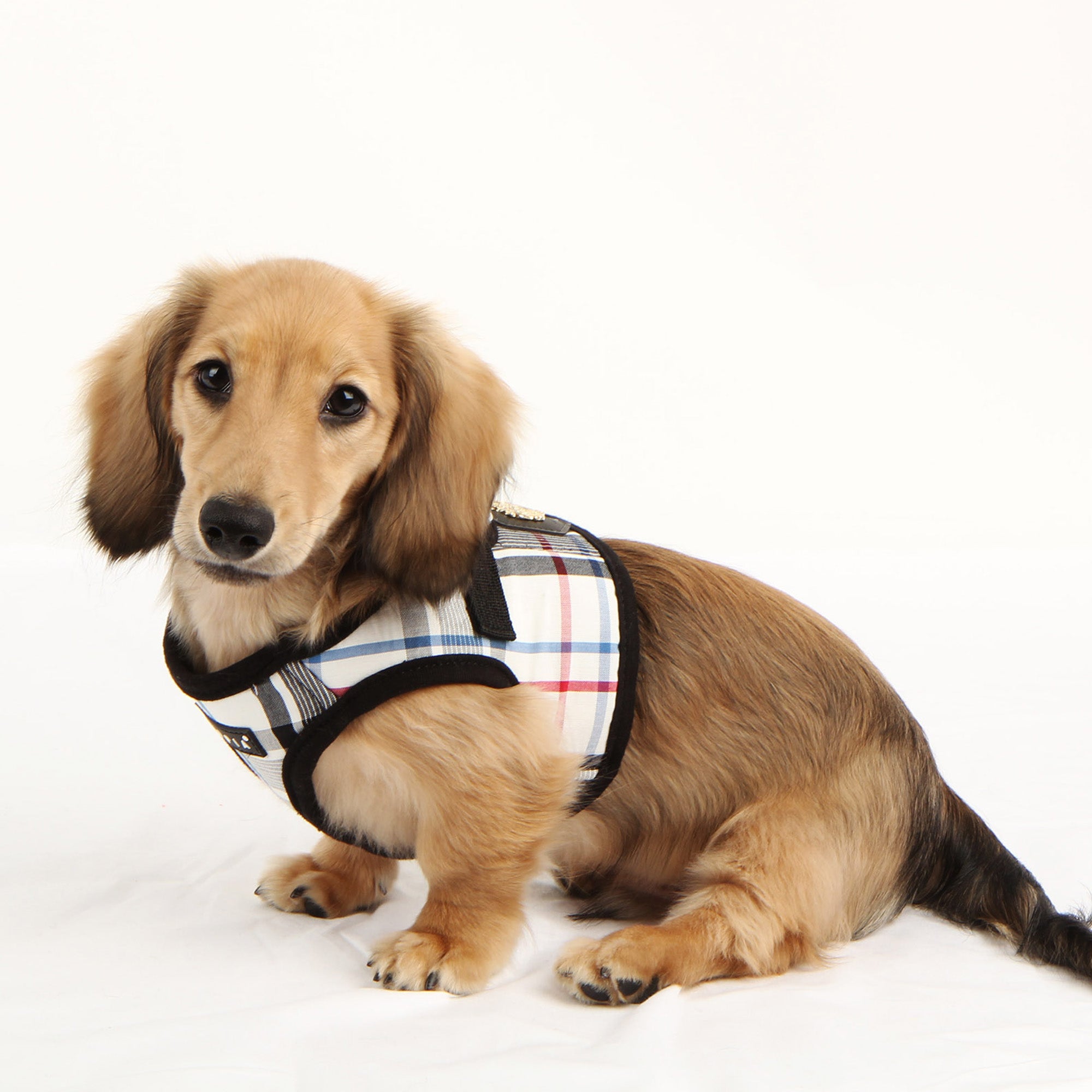 Junior Vest