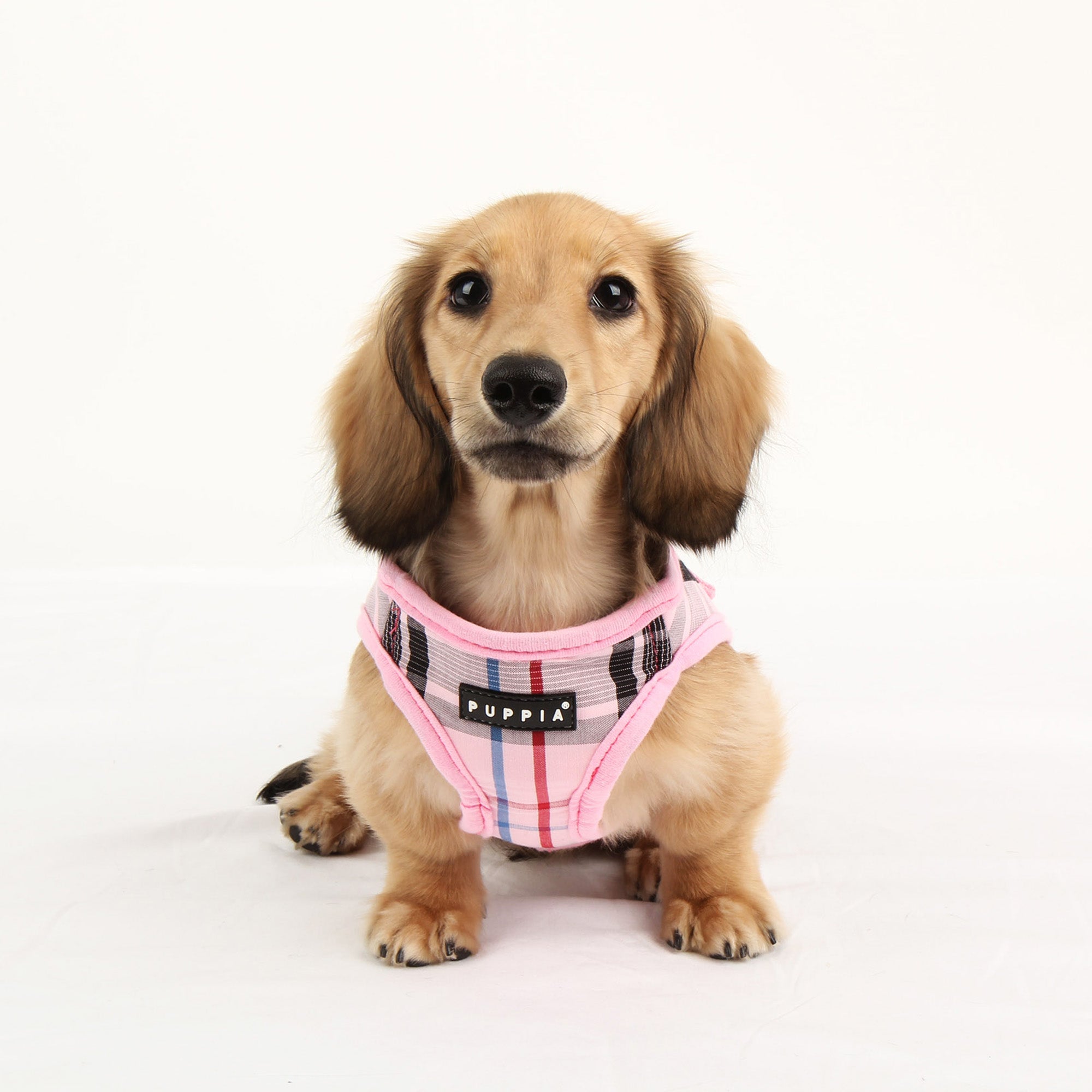 Junior Vest