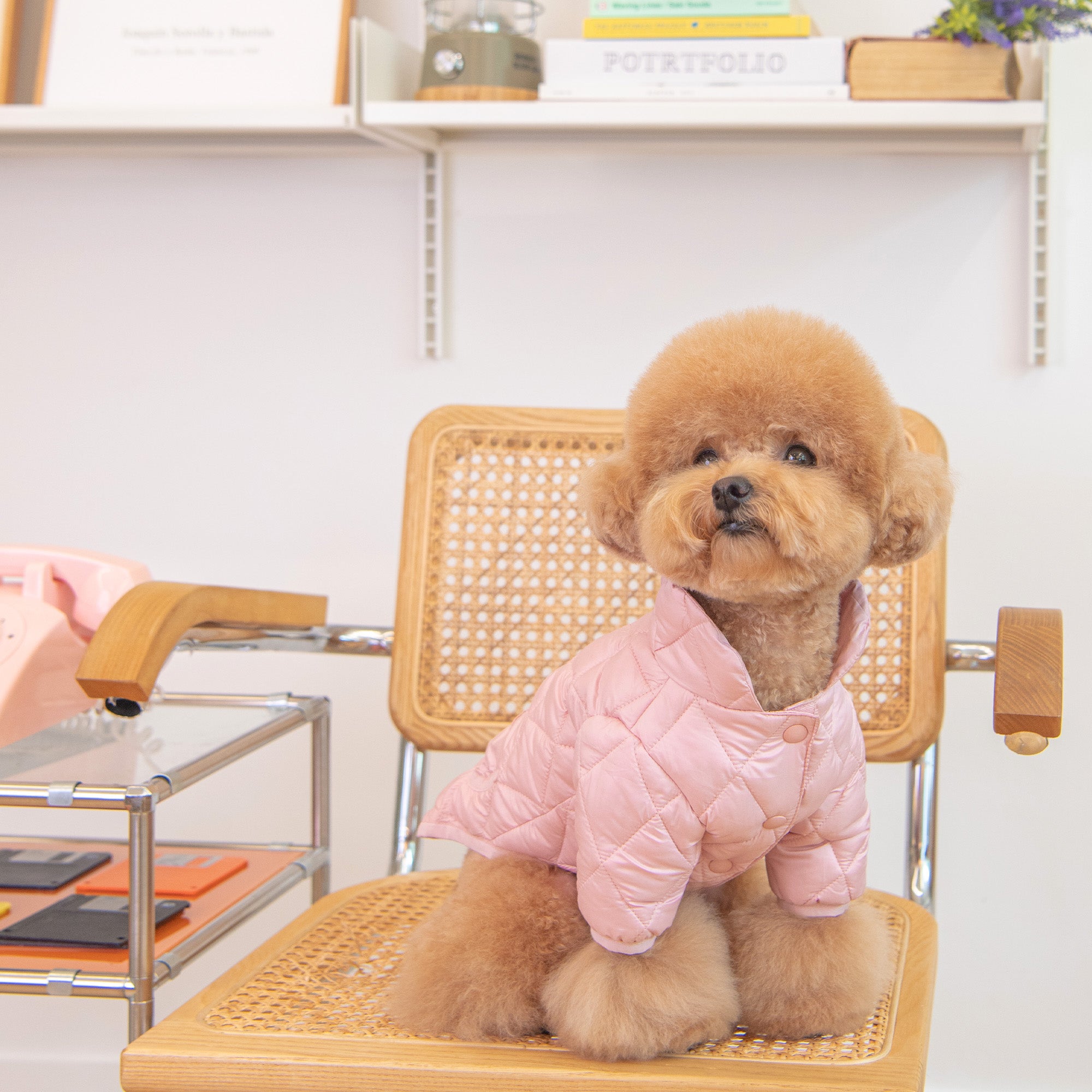 Ultra-Light Cotton Candy