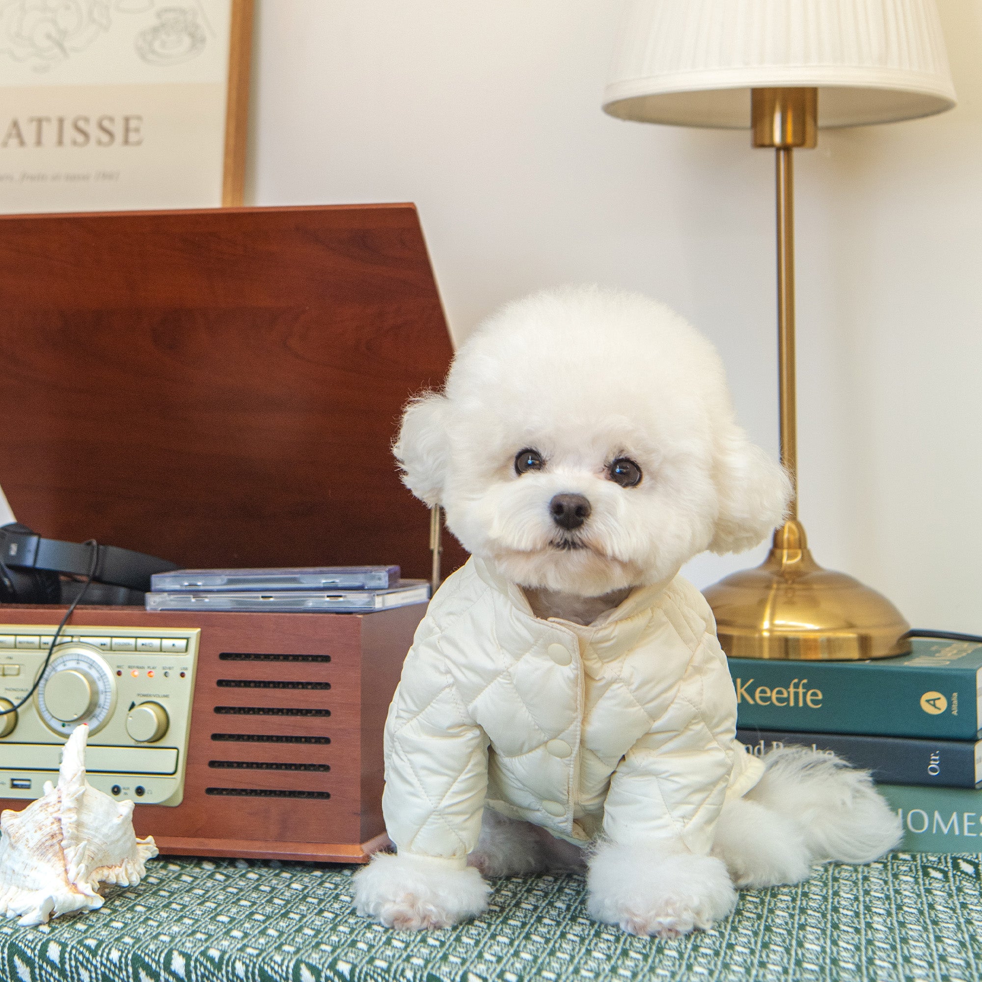 Ultra-Light Cotton Candy