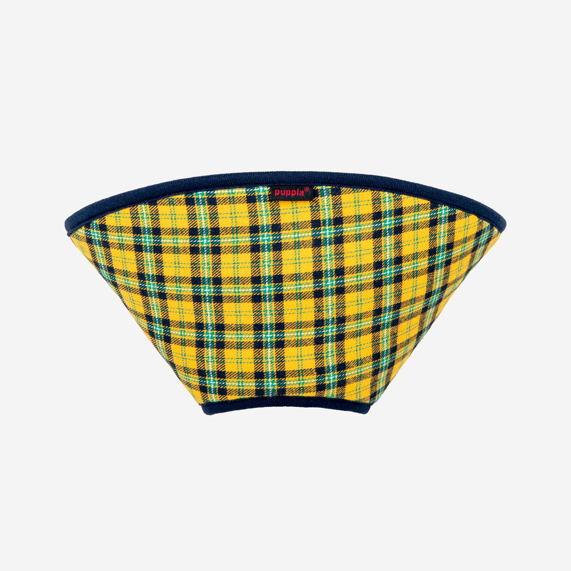 Charlie Recovery Collar