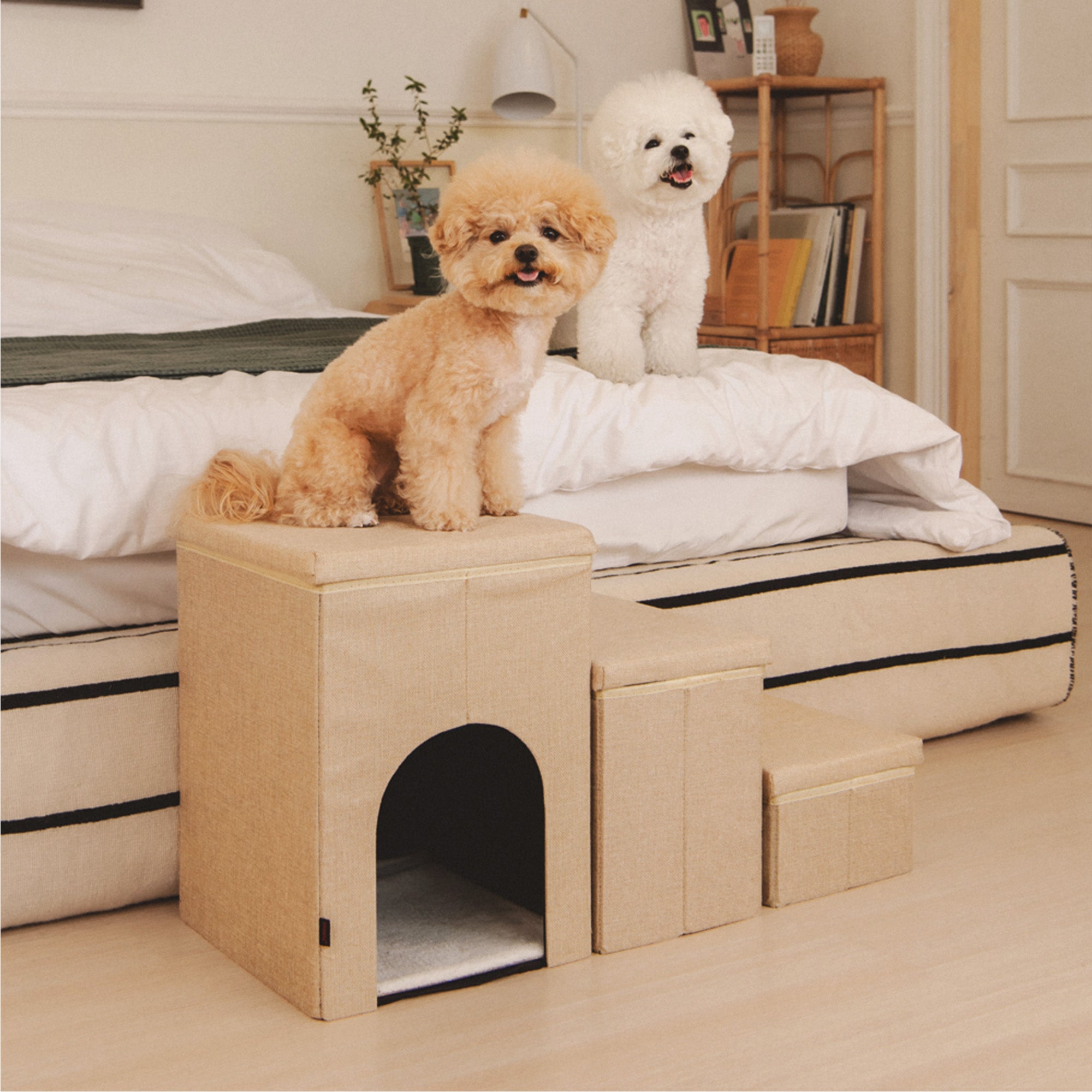 Canvas Step house