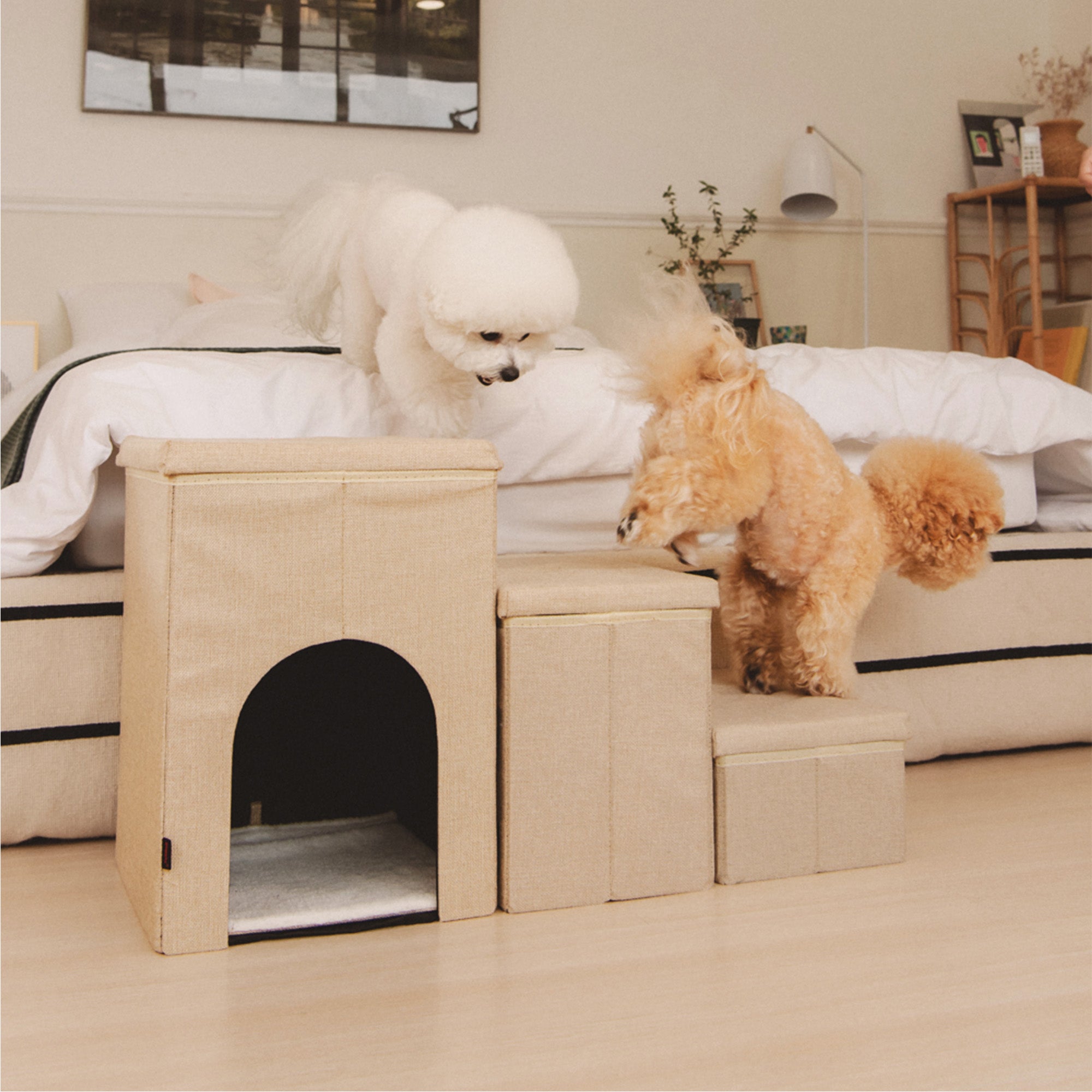 Canvas Step house