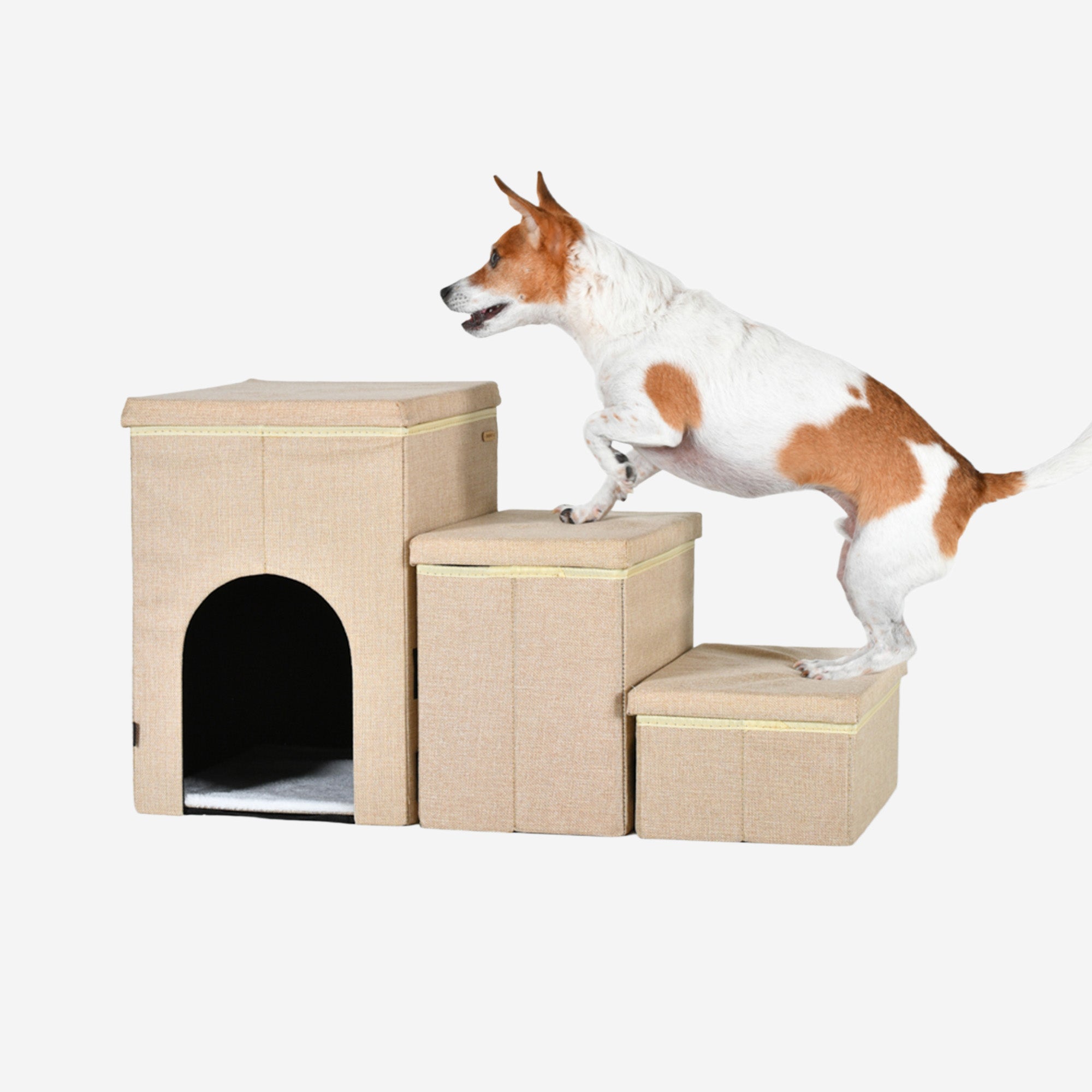 Canvas Step house