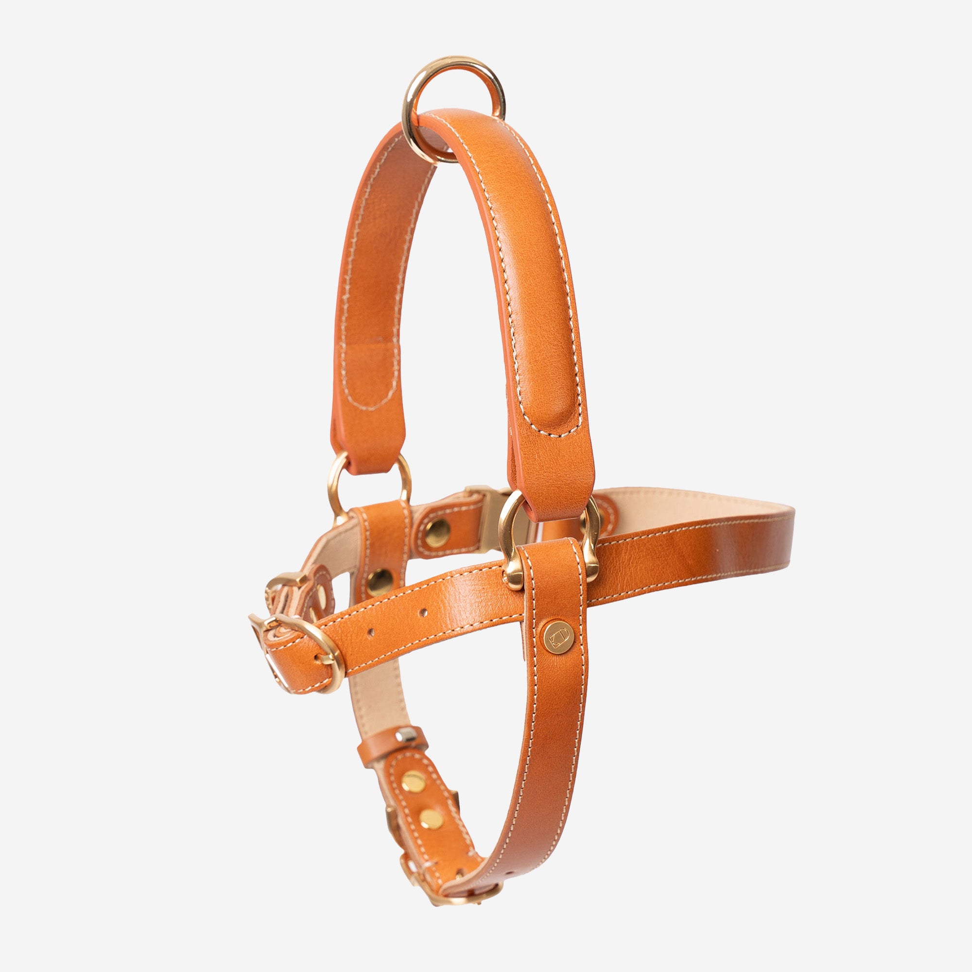 Handle Harness