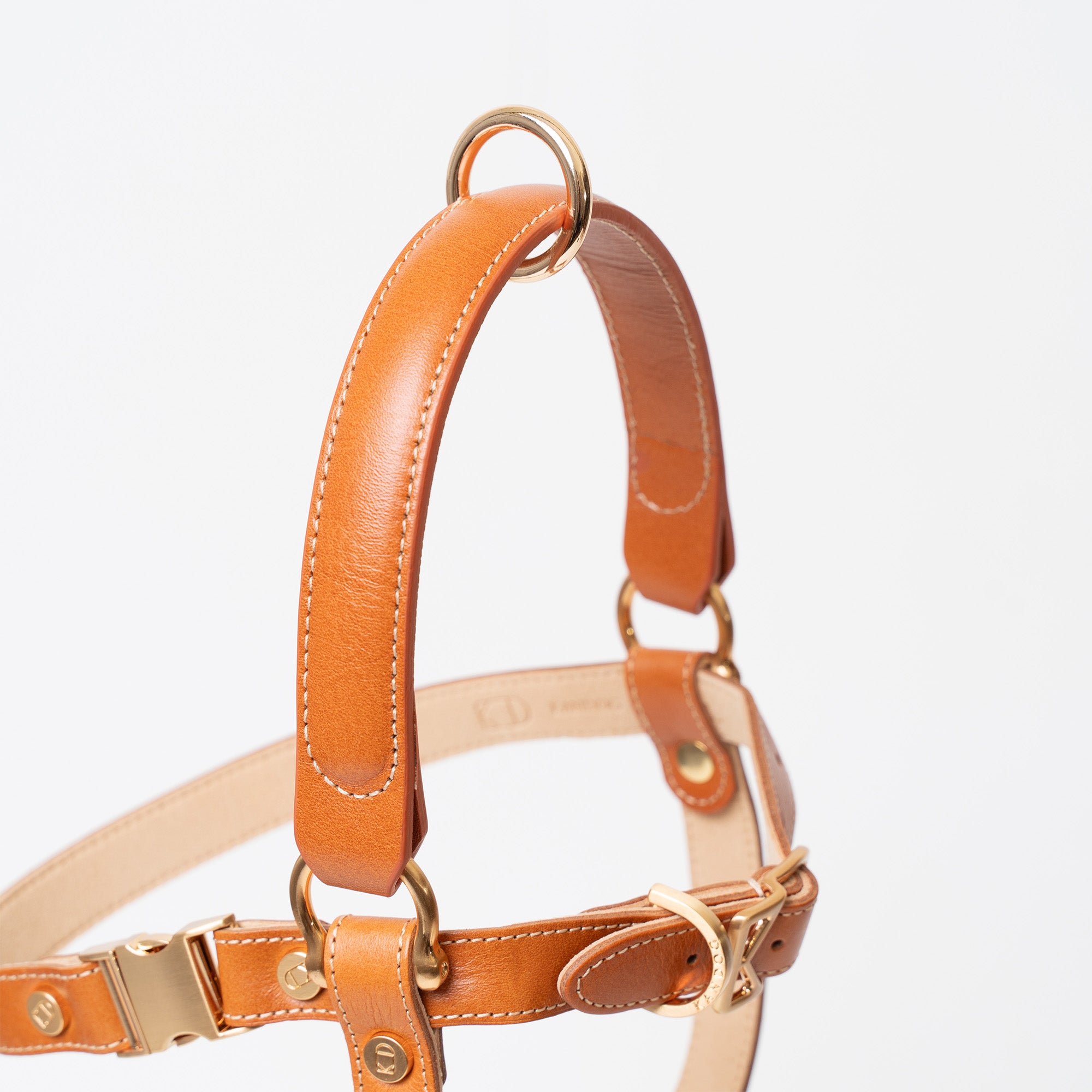 Handle Harness
