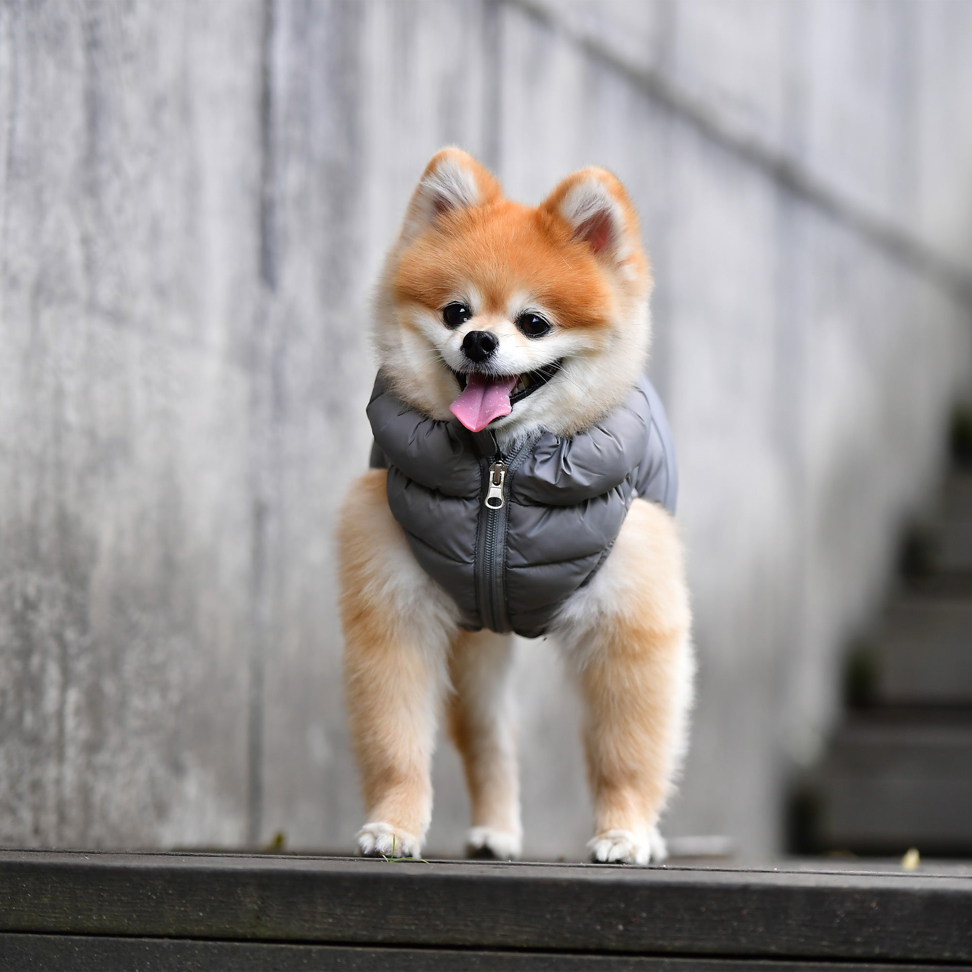 Ultra-Light Vest
