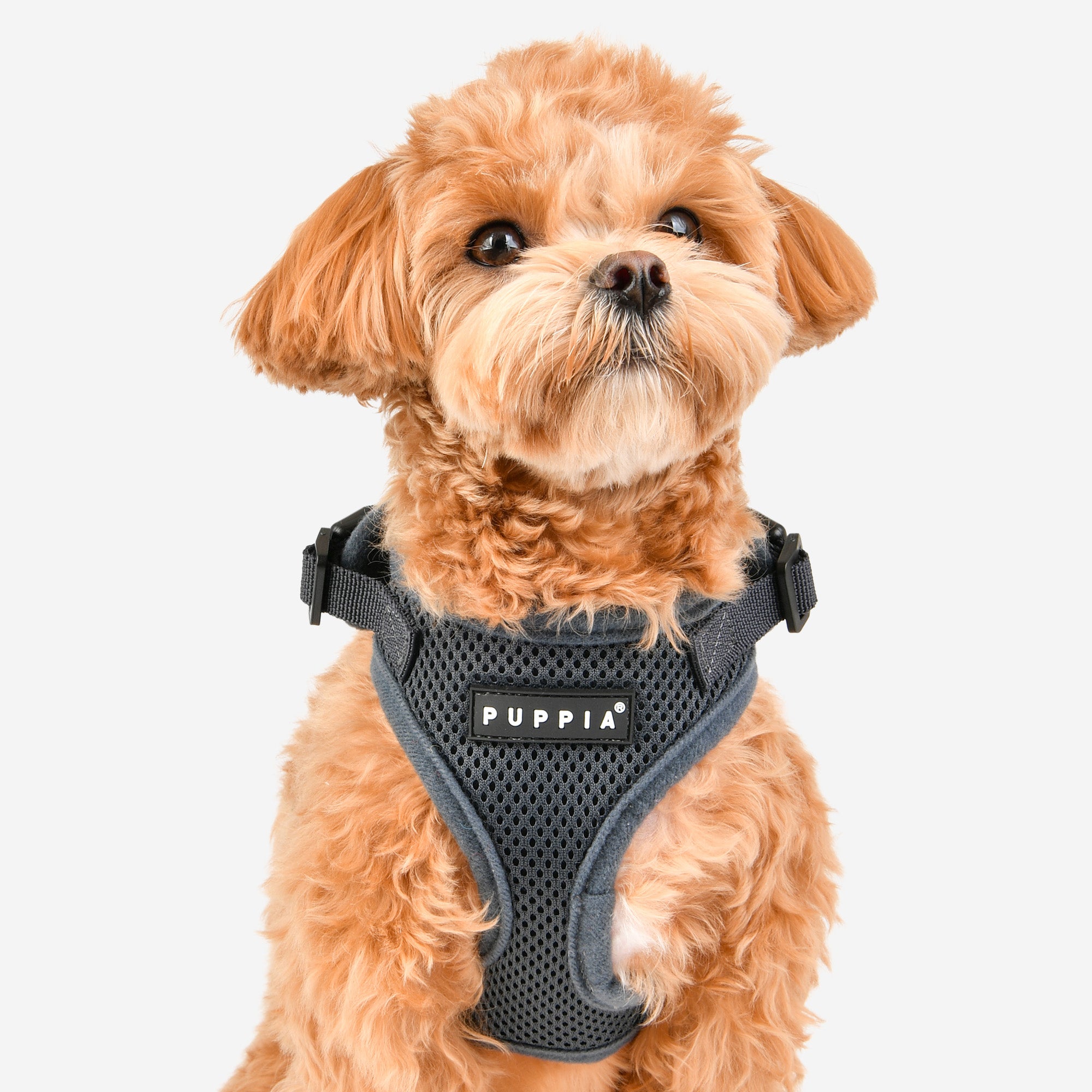 Ritefit Harness®