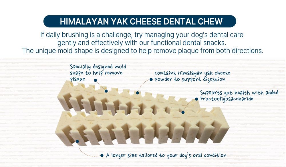 Fabrechew Himalayan Yak Cheese Chew - 10 Sticks/200g