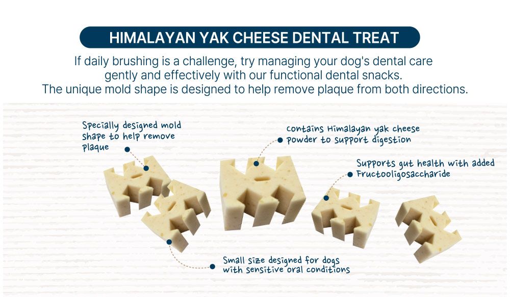 FabreChew Himalayan Yak Cheese Treat - 200g