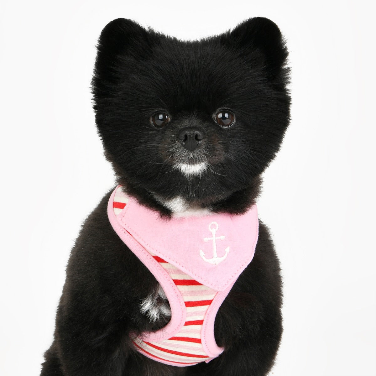 Puppia Seaman Harness