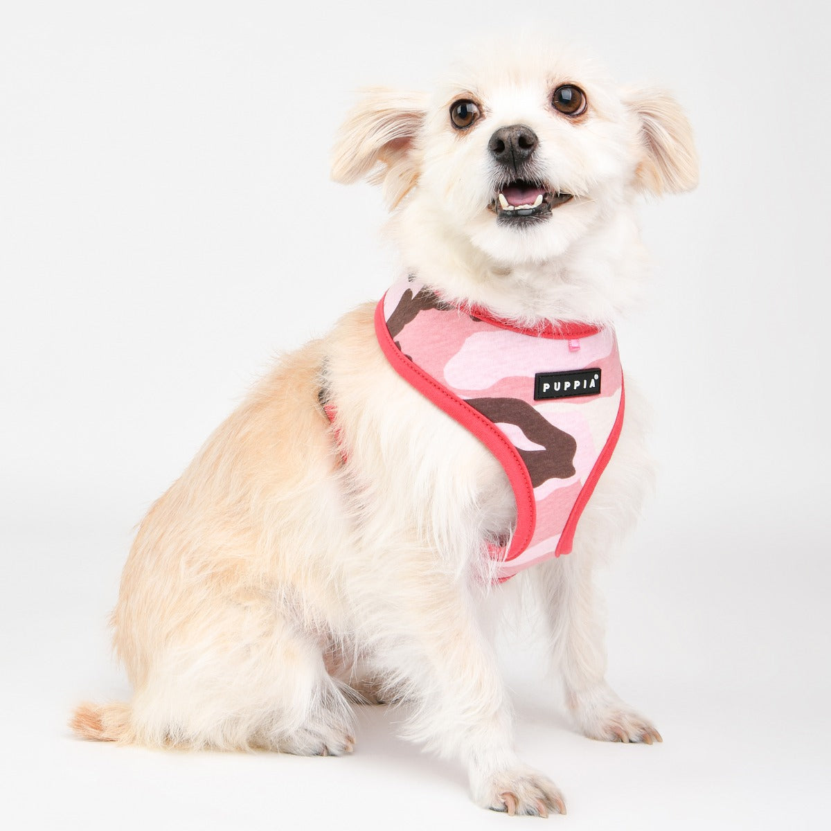 Puppia Lance Harness