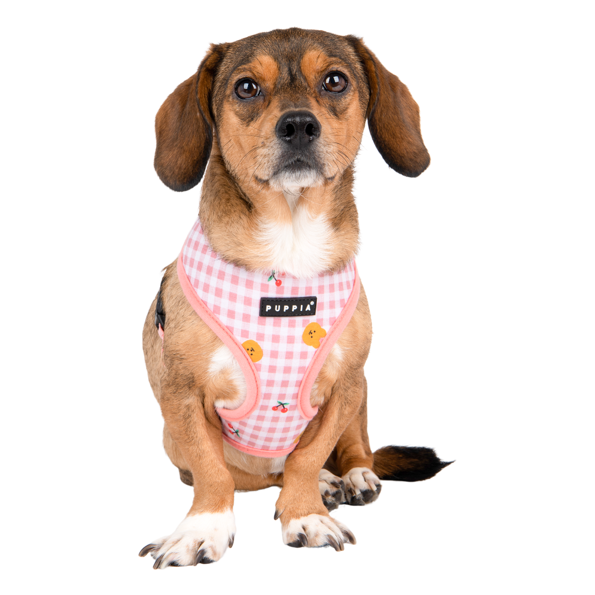Puppia Baba Harness