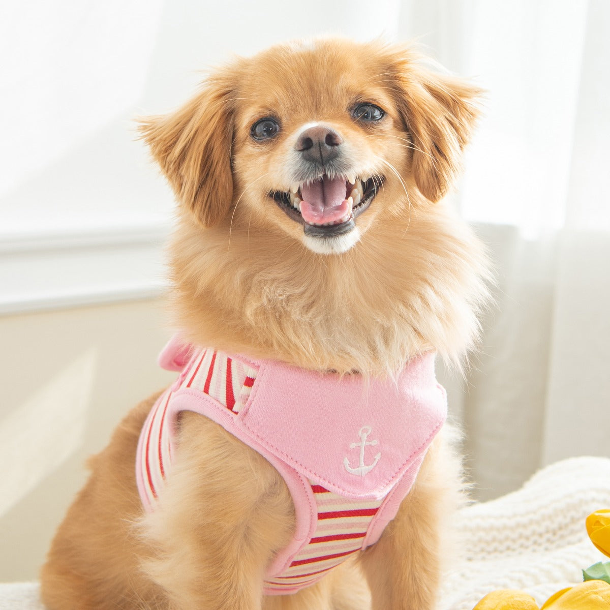 Puppia Seaman Vest Harness