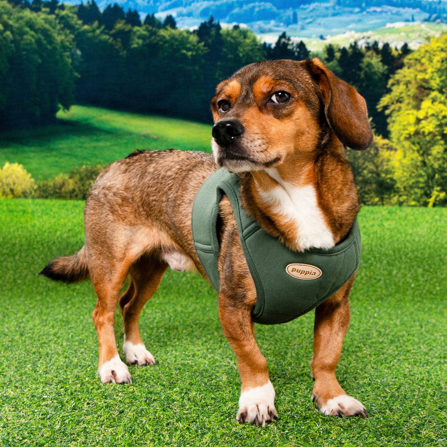 Puppia Eco Vest Harness