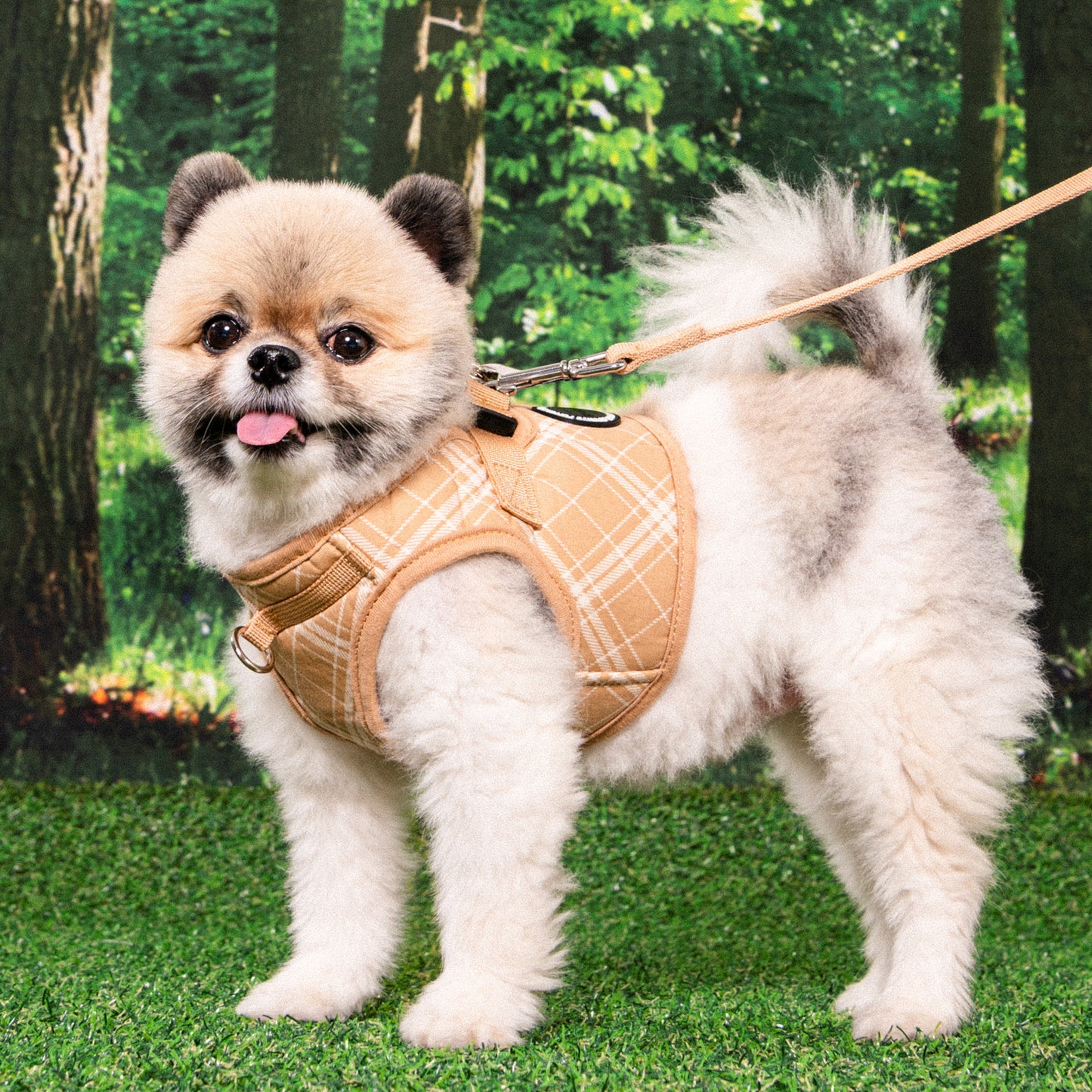 Puppia Corwin Vest Harness