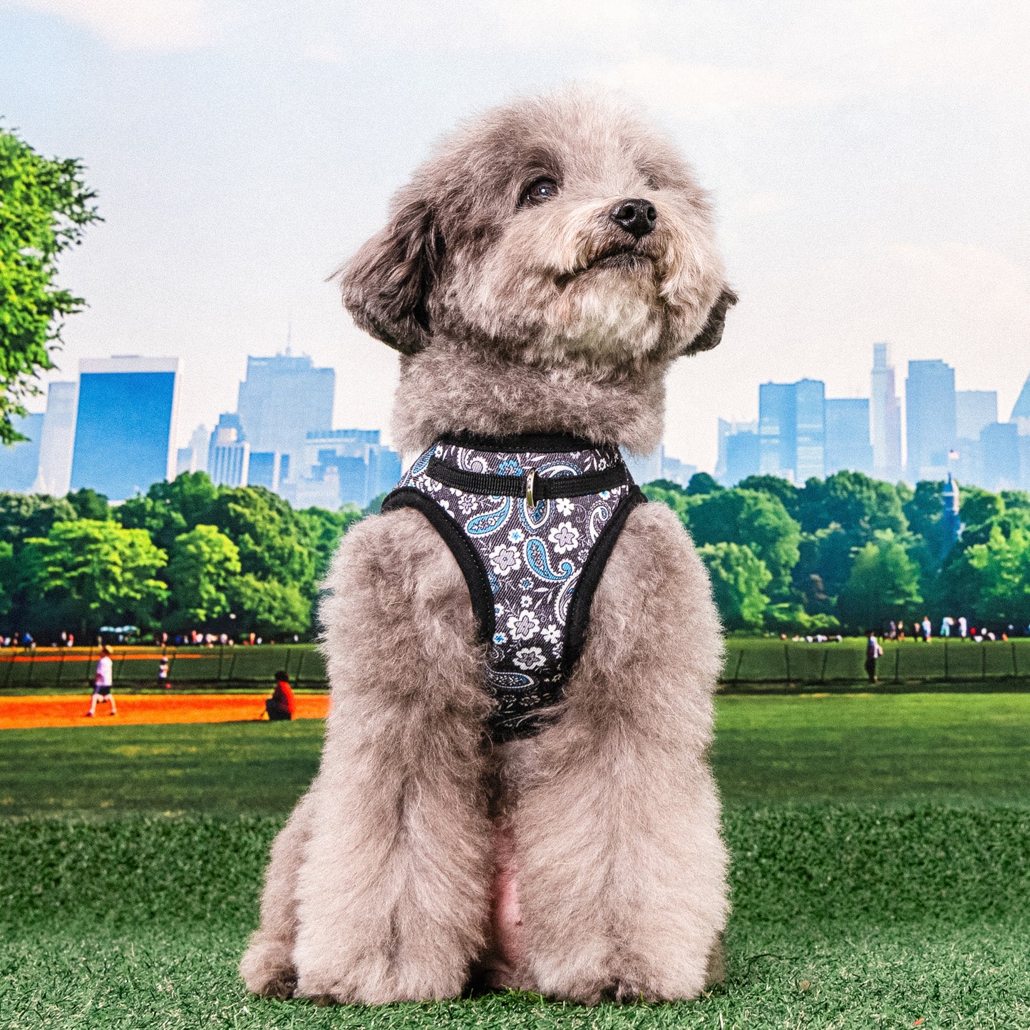 Puppia Cynthia Vest Harness