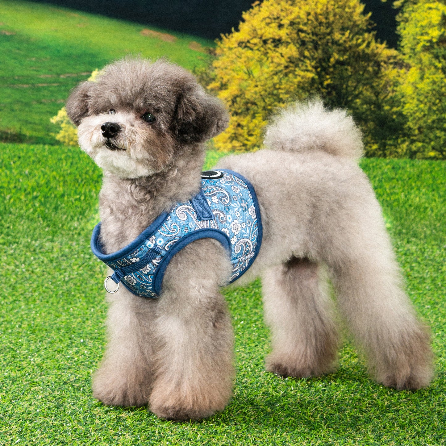 Puppia Cynthia Vest Harness