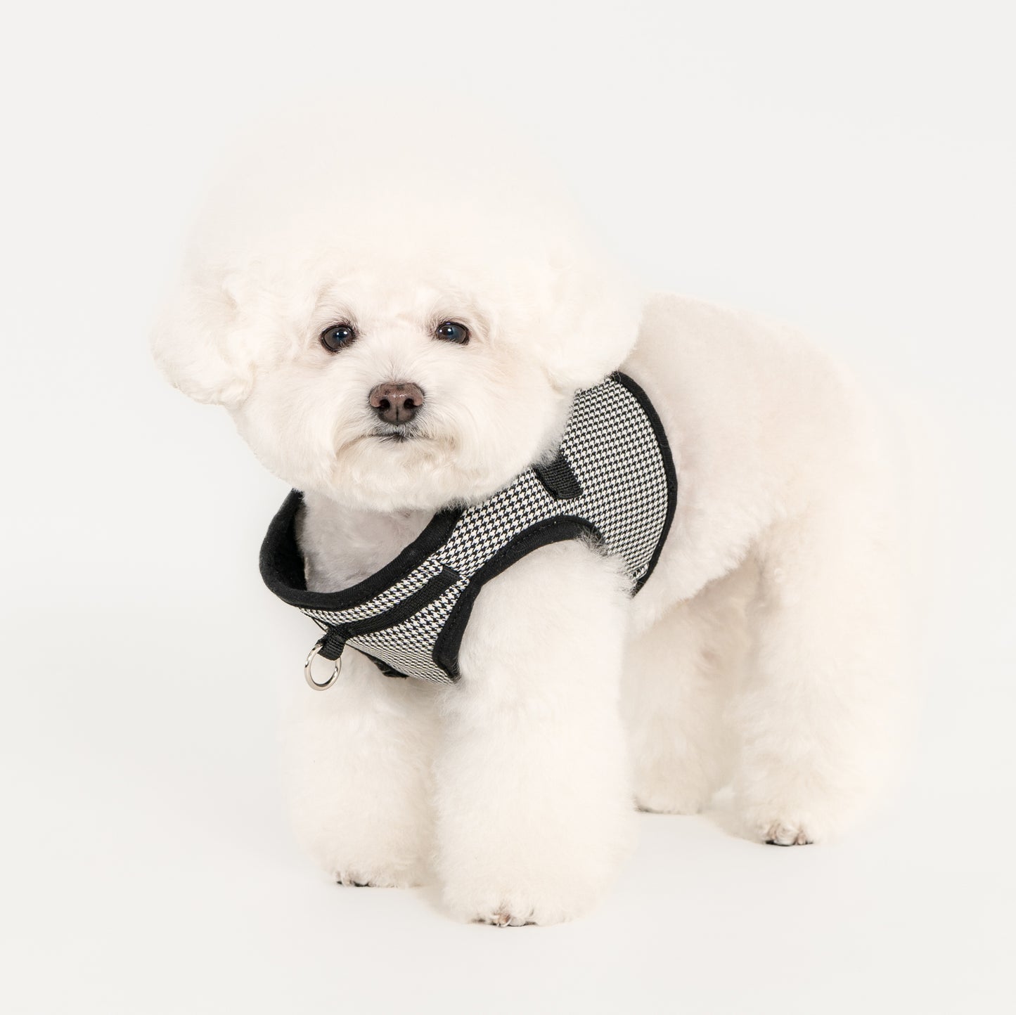 Puppia Amatus Vest Harness