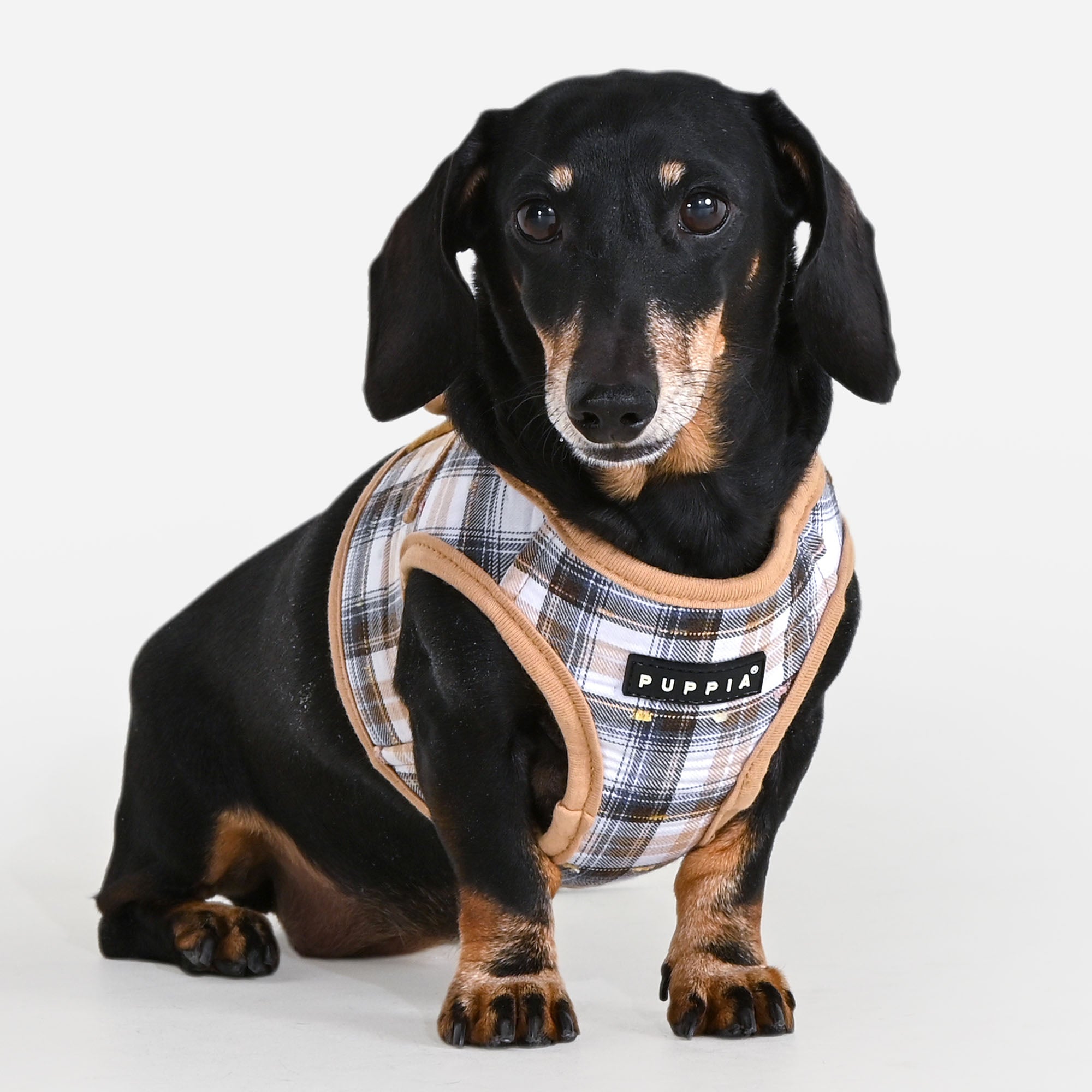 Windsor Vest