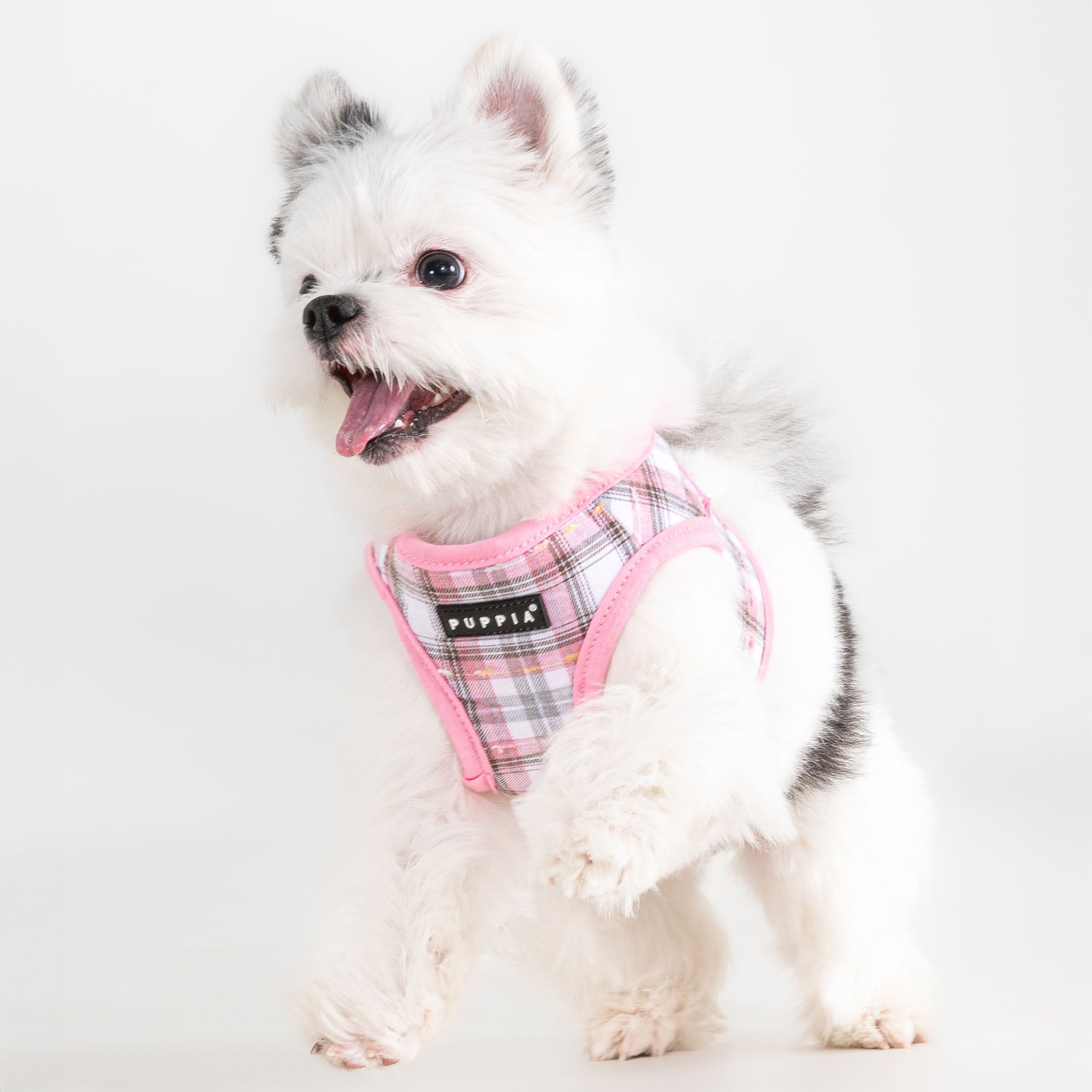 Windsor Vest