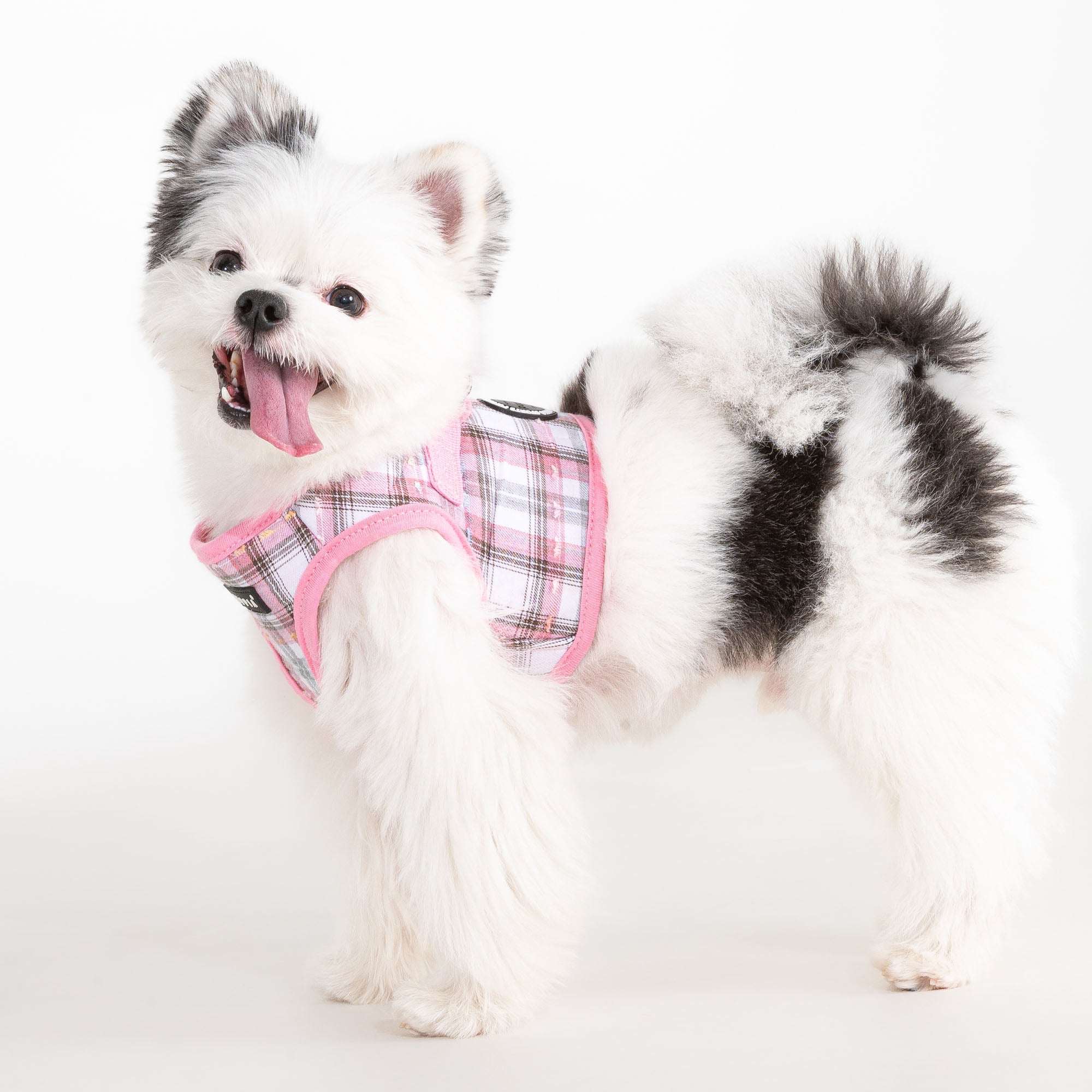 Windsor Vest