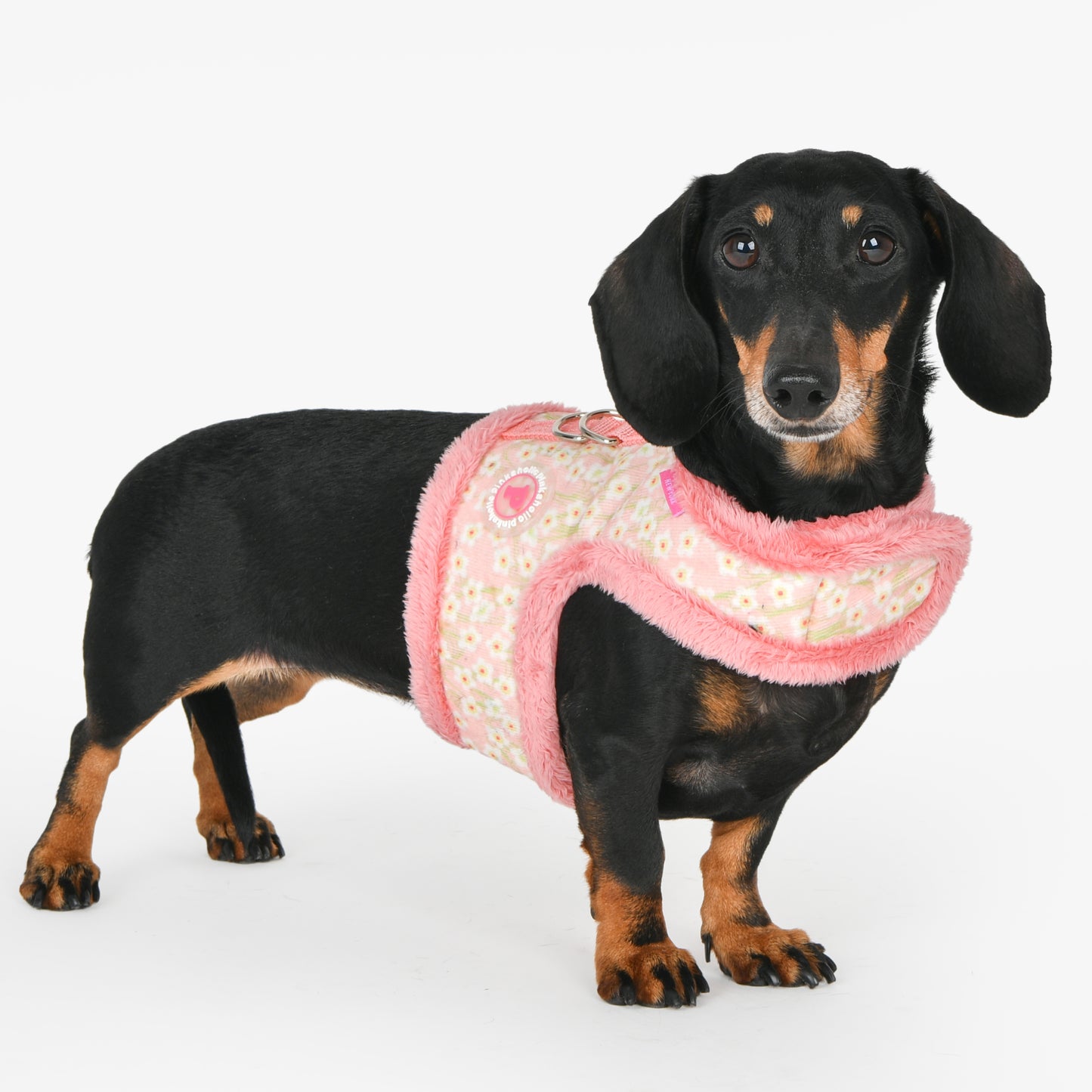 Pinkaholic NY Kalina Pinka Harness