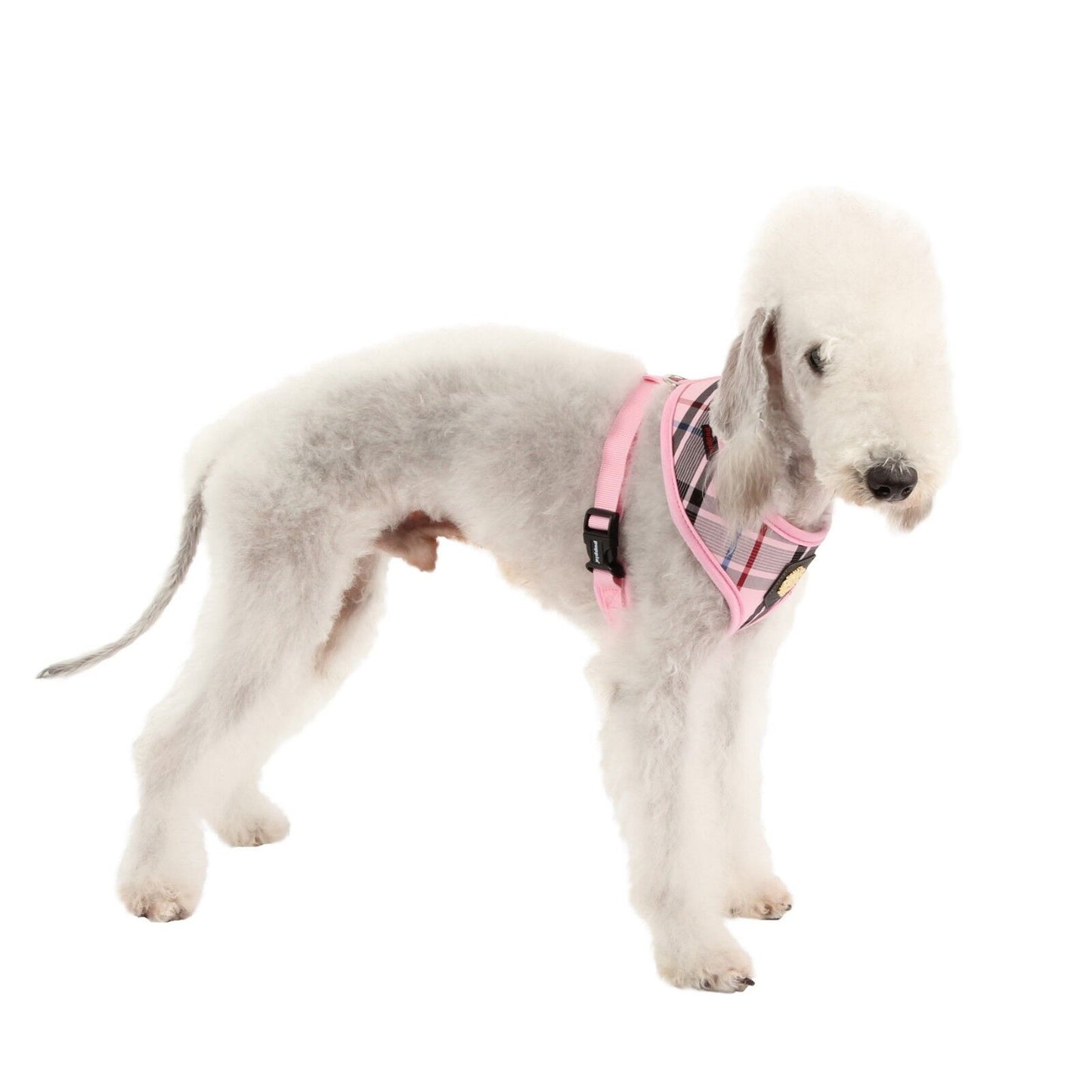 Puppia Junior Harness