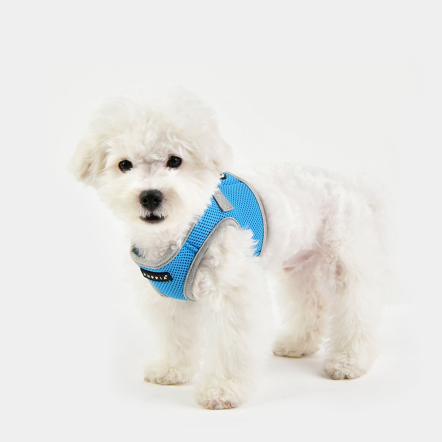 Puppia Soft Vest Harness II