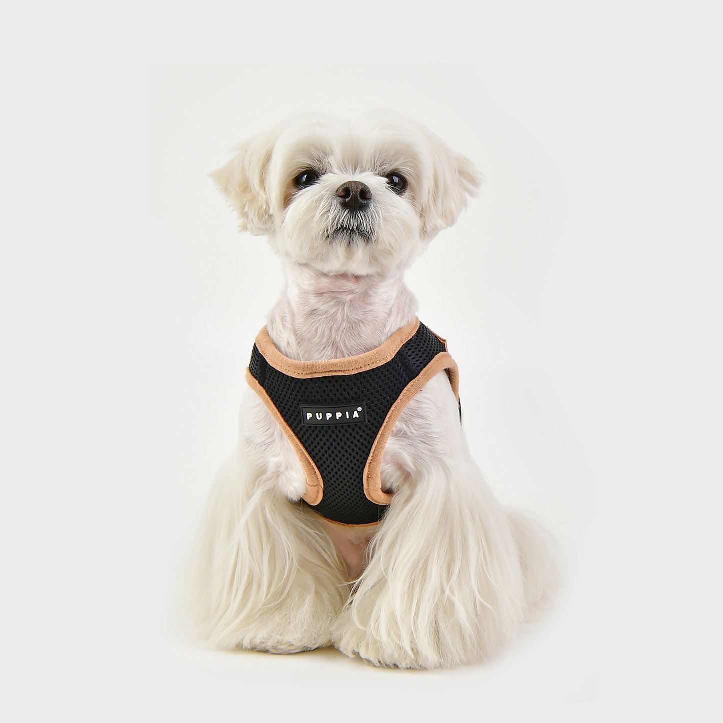 Puppia Soft Vest Harness II