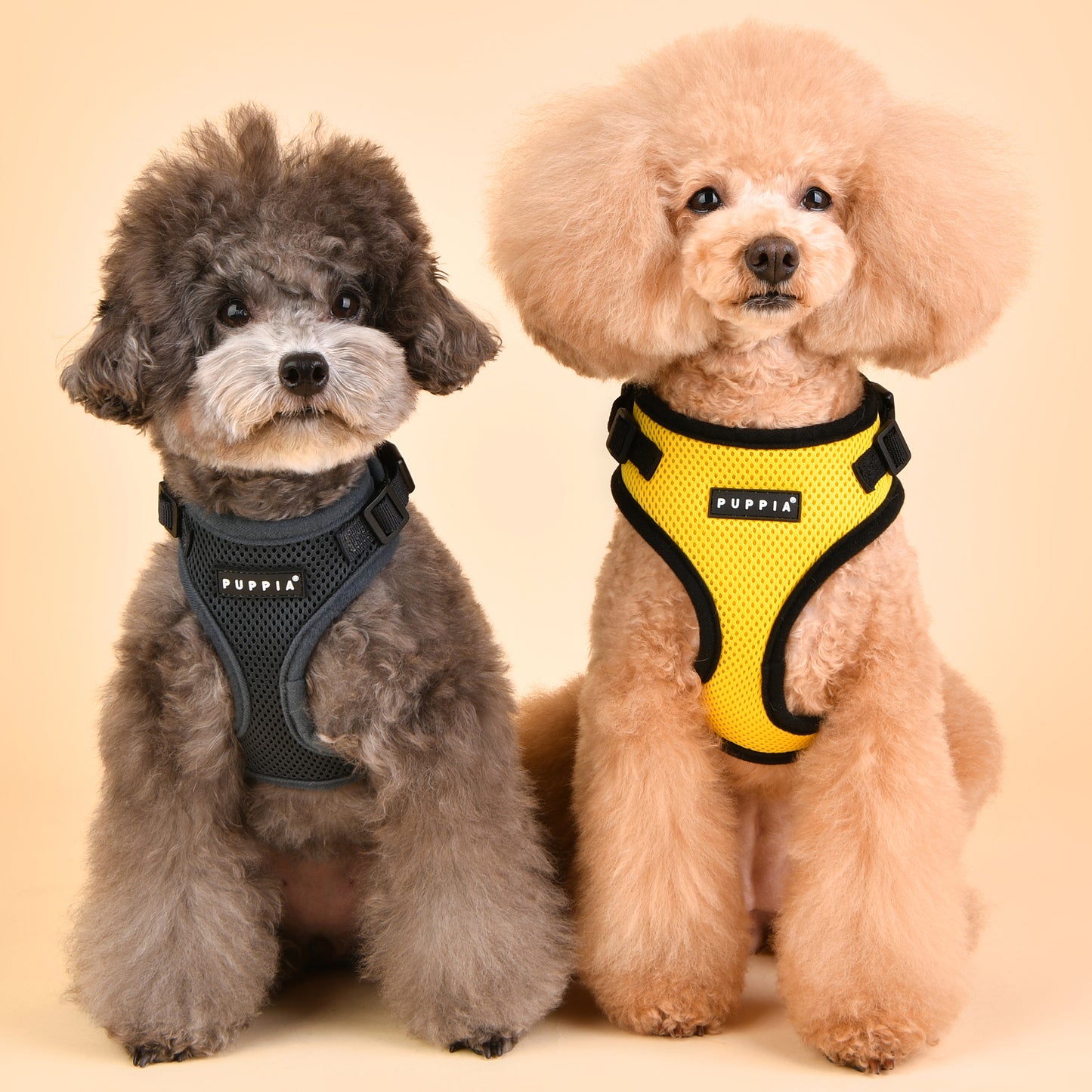 Puppia Ritefit Harness