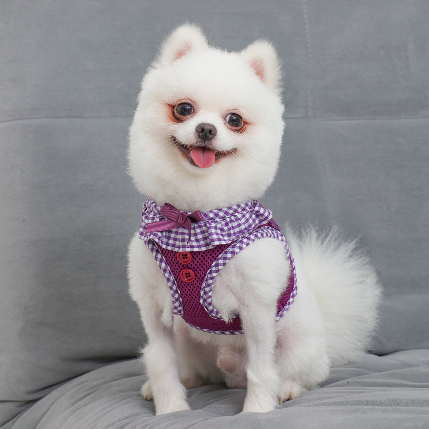 Puppia Vivien Harness