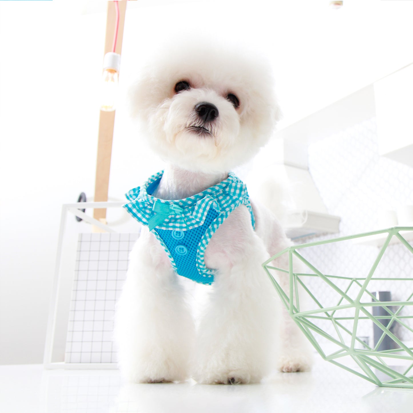 Puppia Vivien Harness