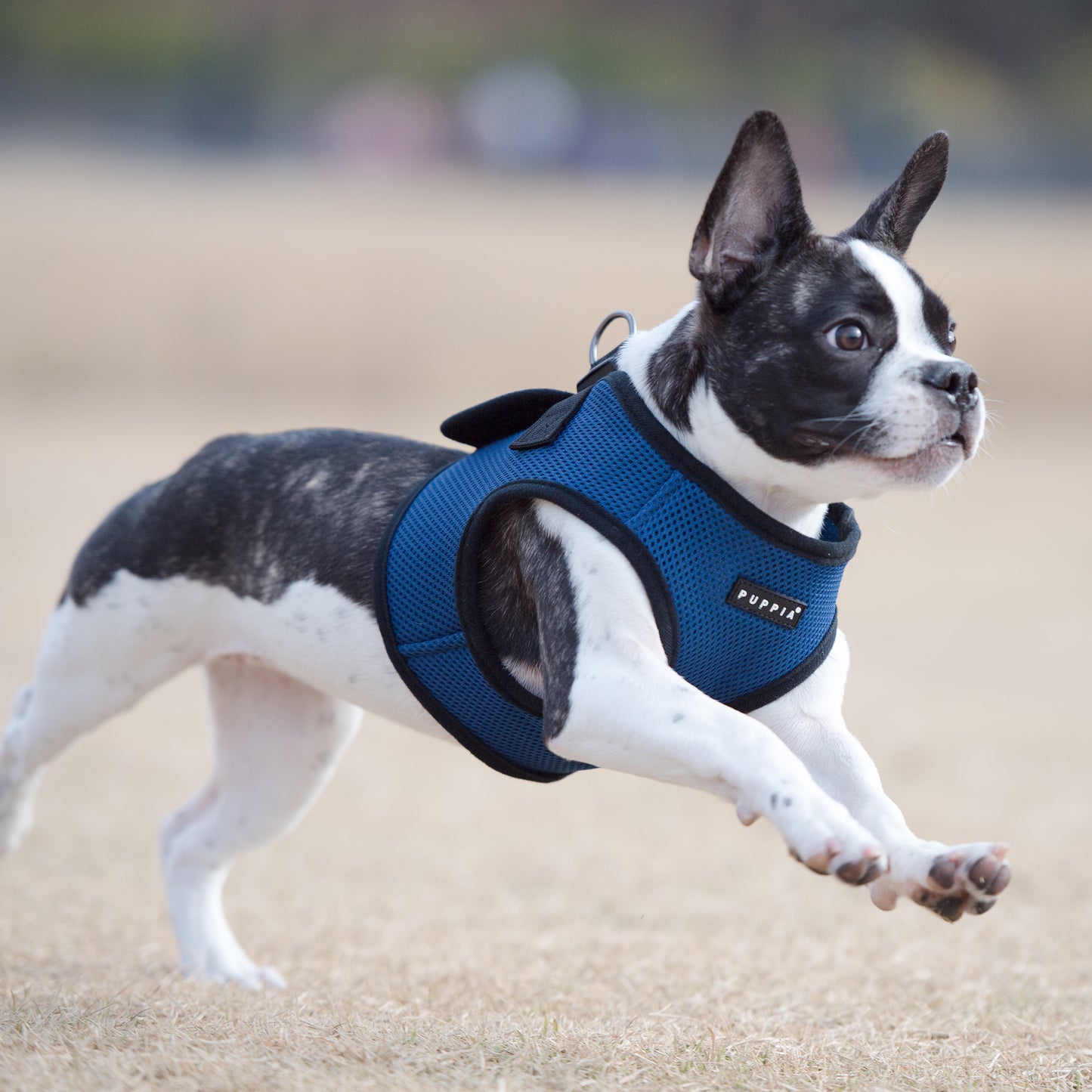 Puppia Soft Vest Harness
