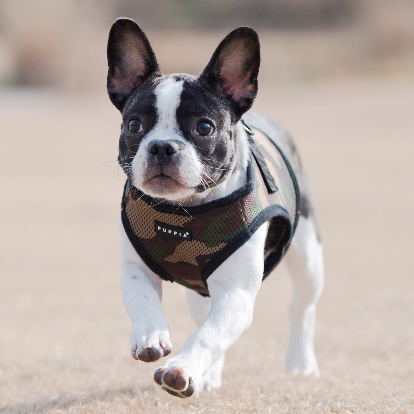 Puppia Soft Vest Harness