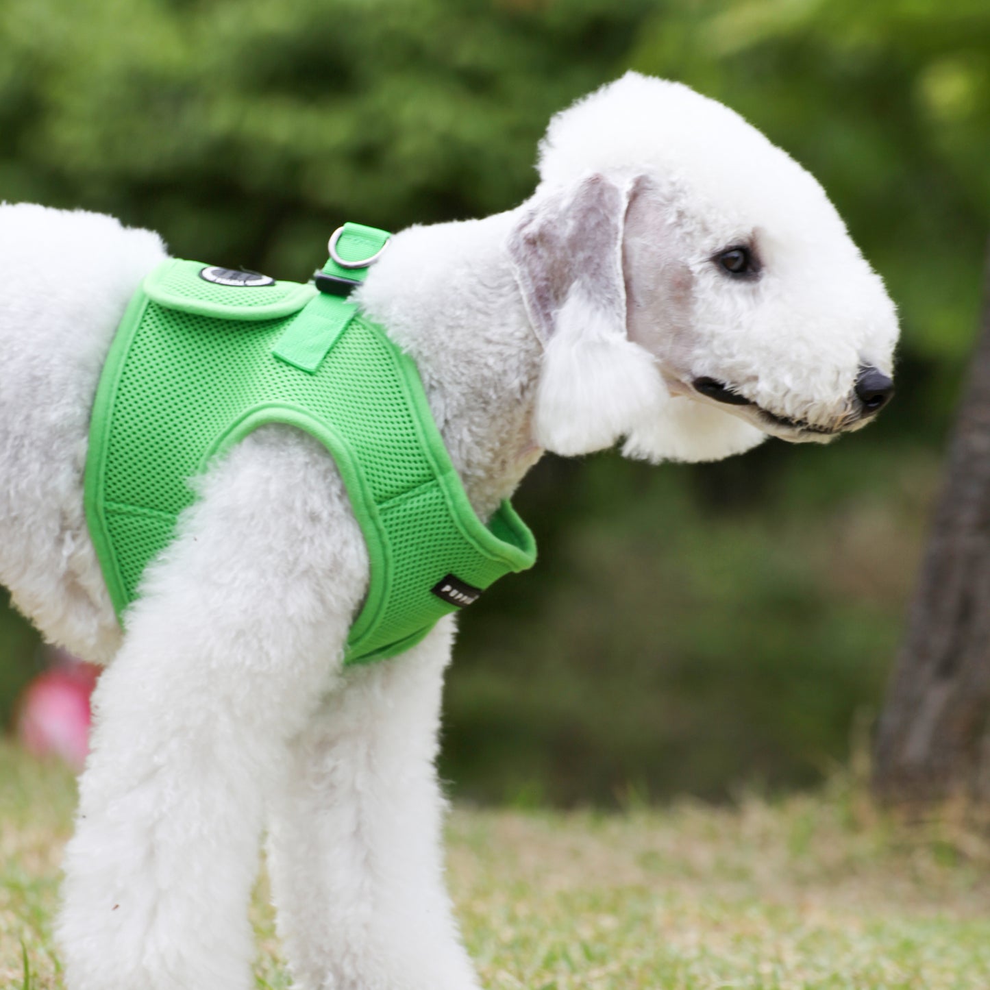 Puppia Soft Vest Harness