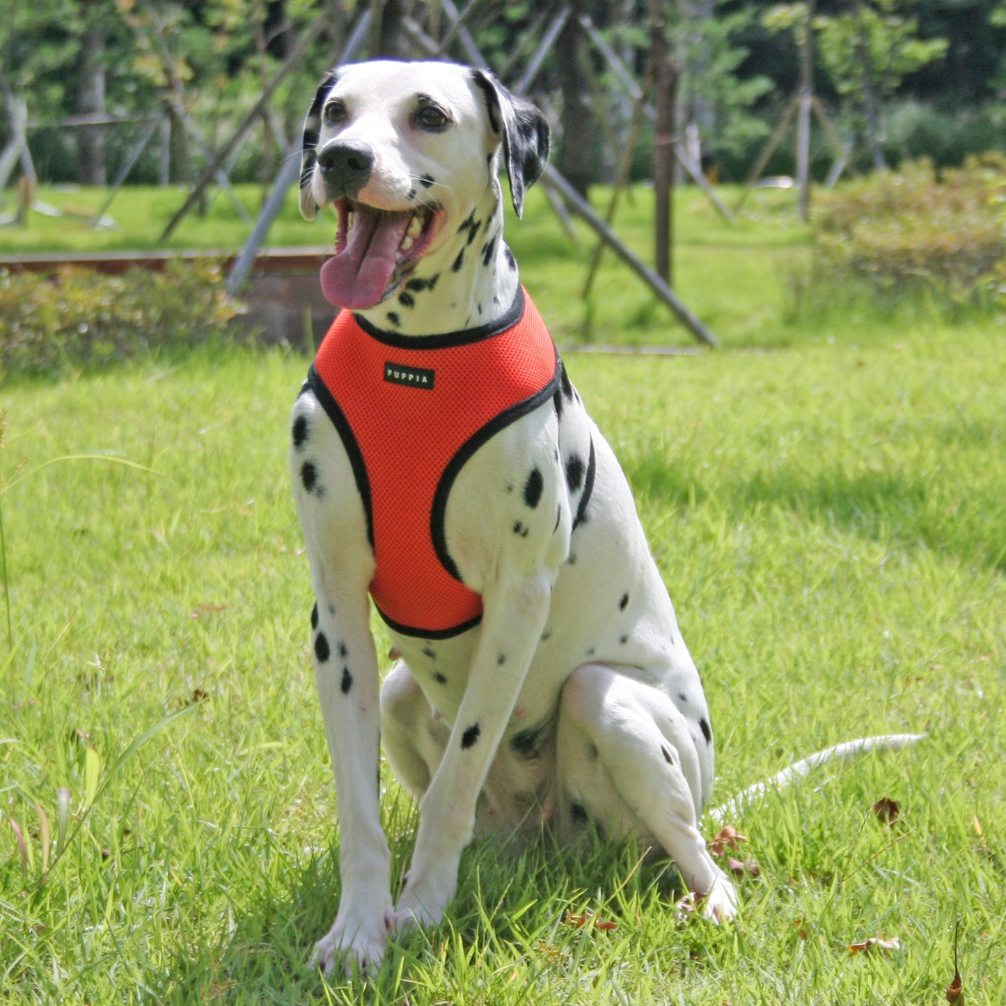 Puppia Soft Vest Harness