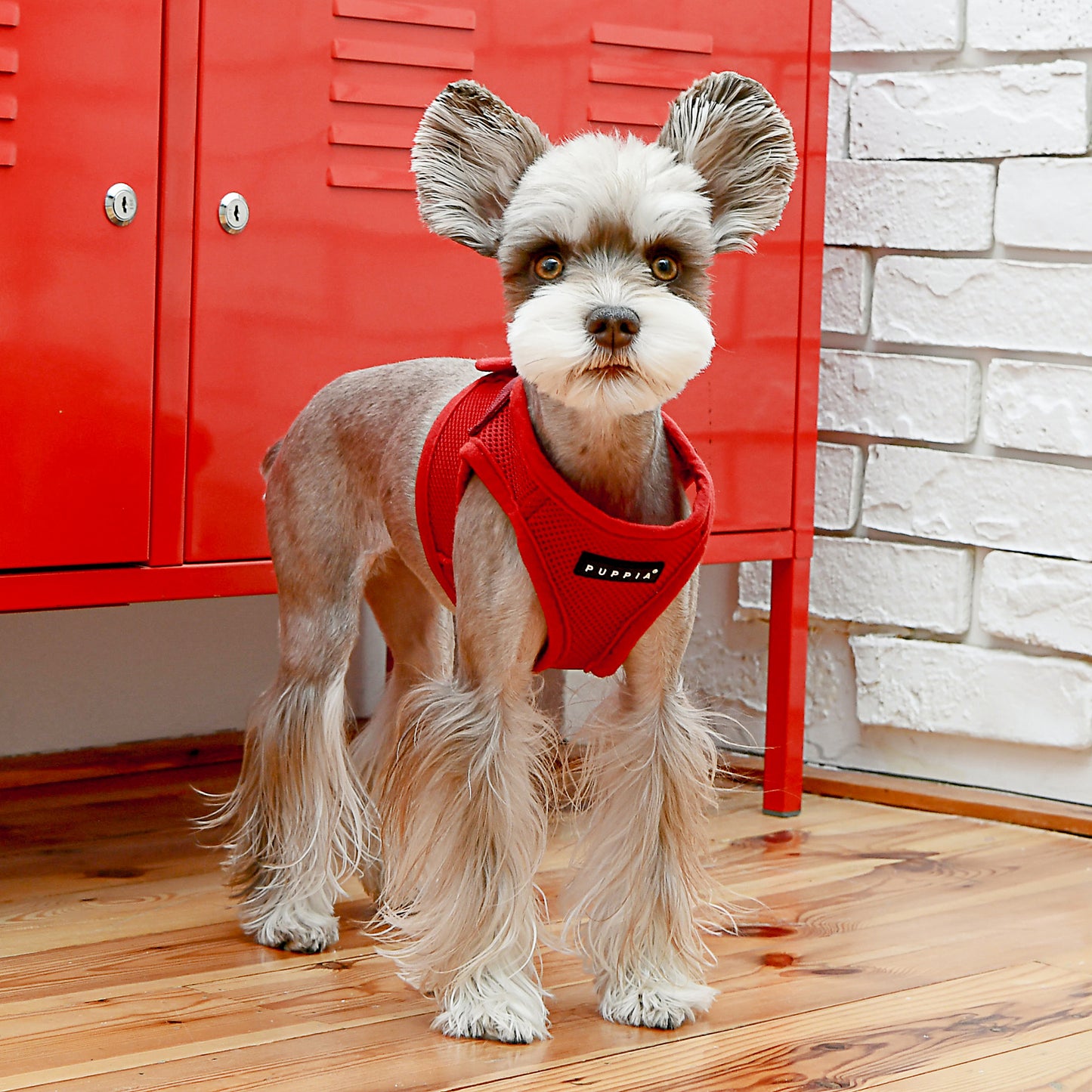 Puppia Soft Vest Harness