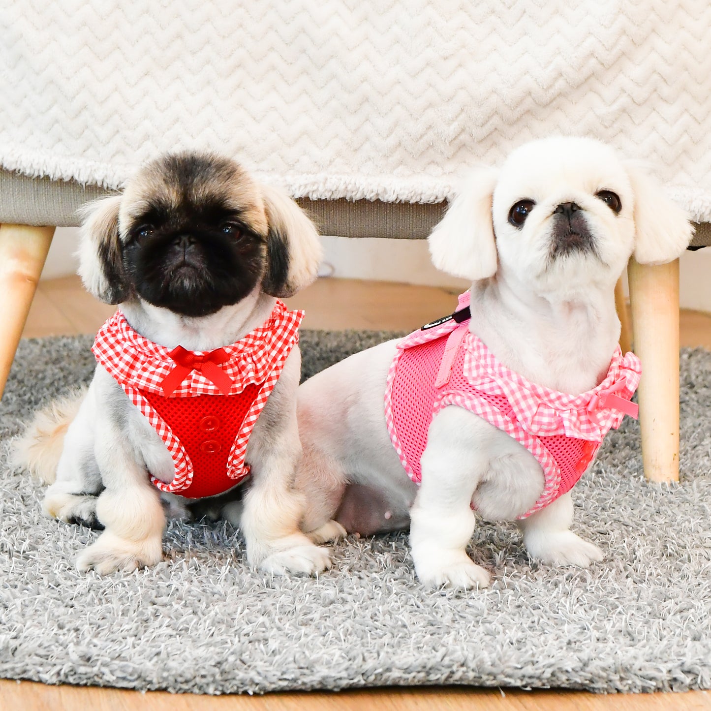 Puppia Vivien Vest Harness