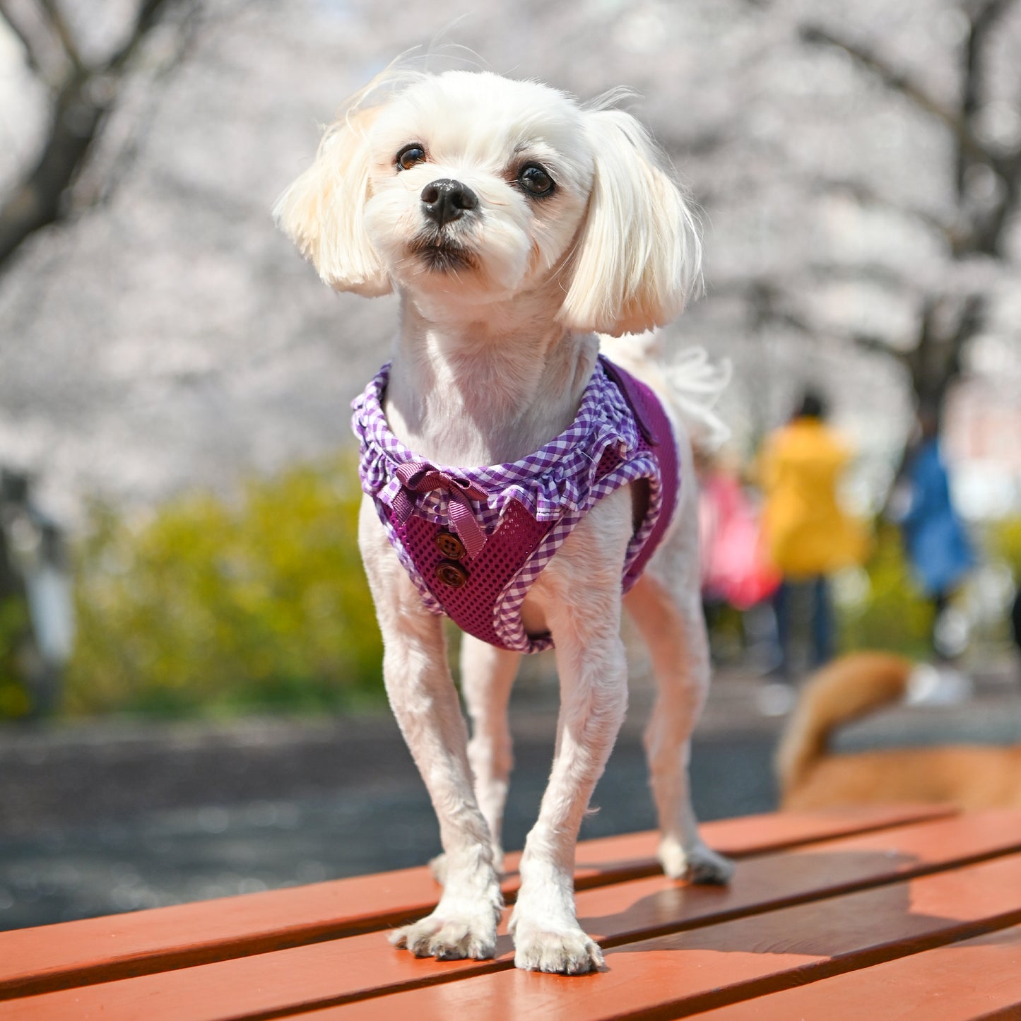 Puppia Vivien Vest Harness