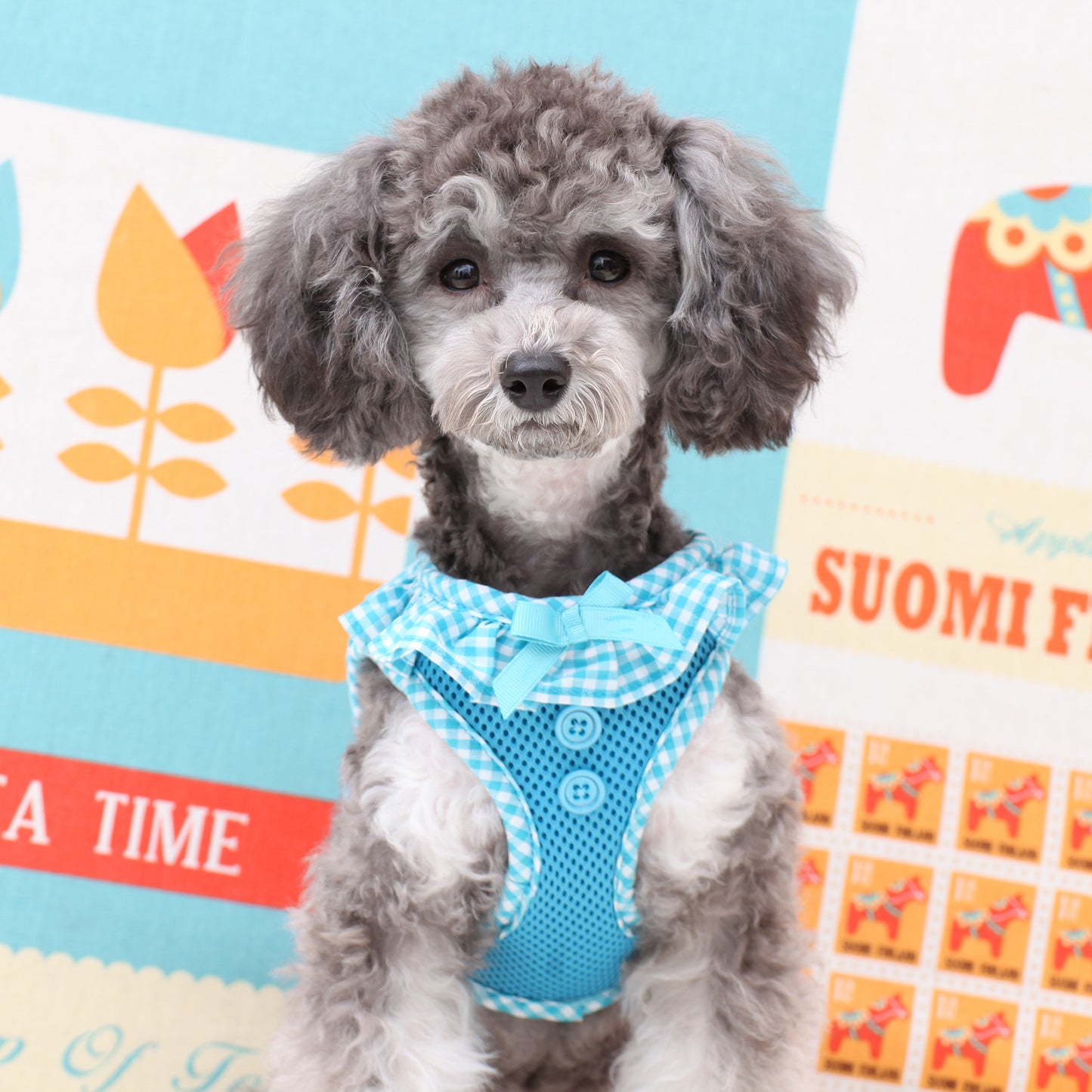Puppia Vivien Vest Harness