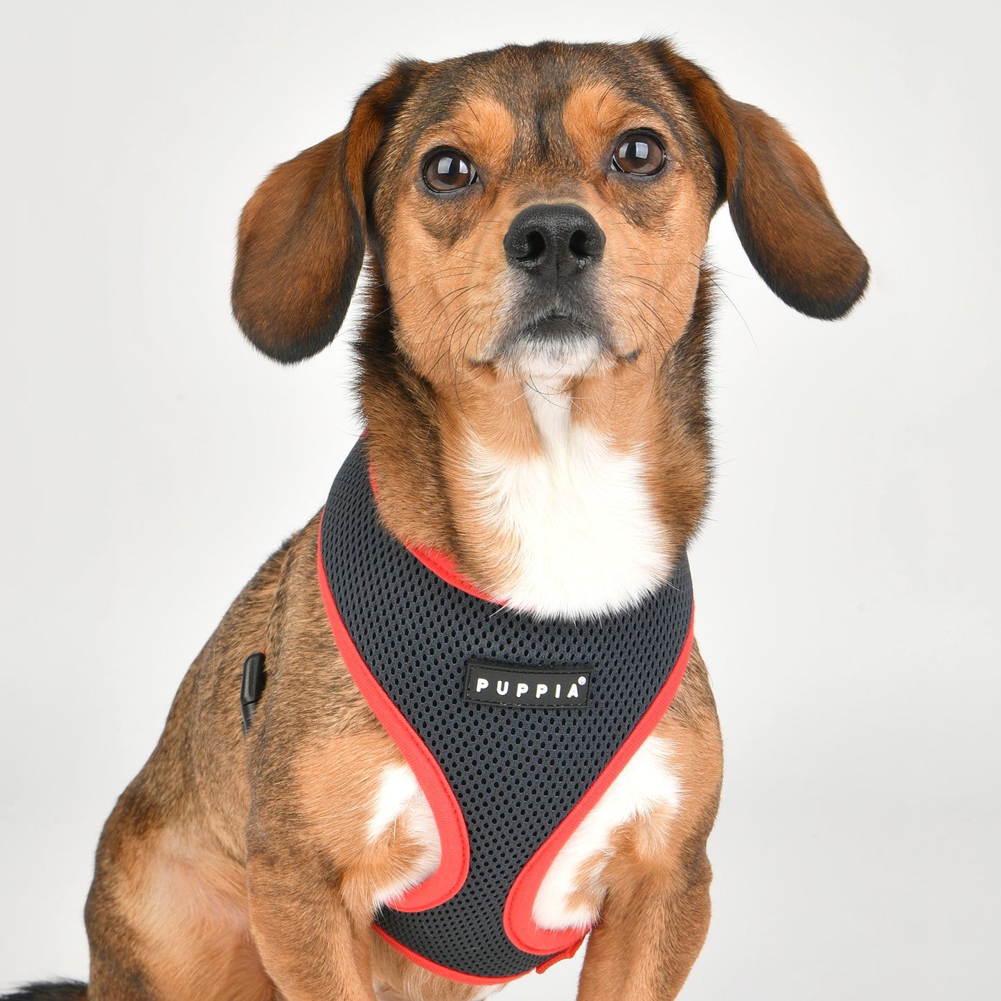 Puppia Soft Harness II