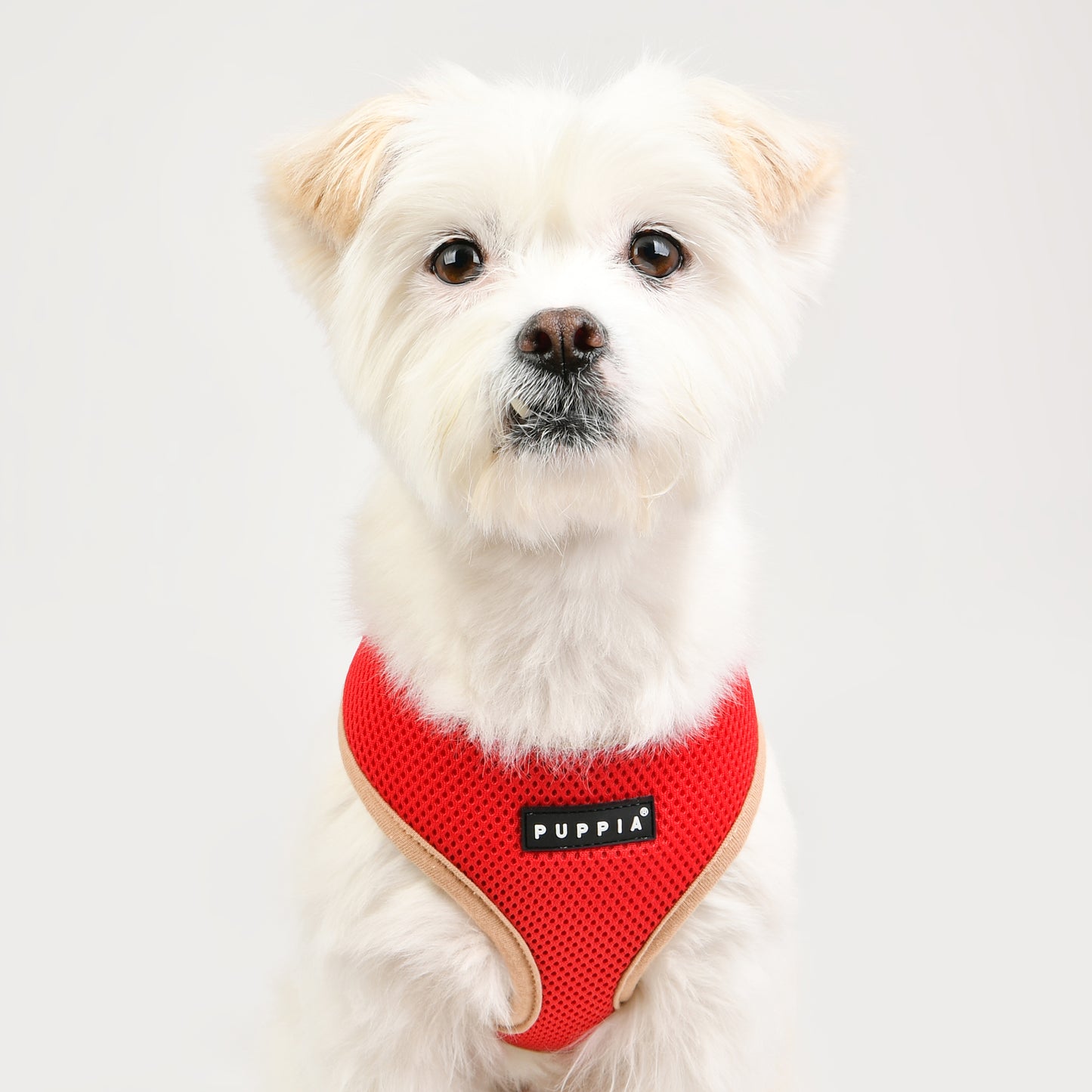 Puppia Soft Harness II