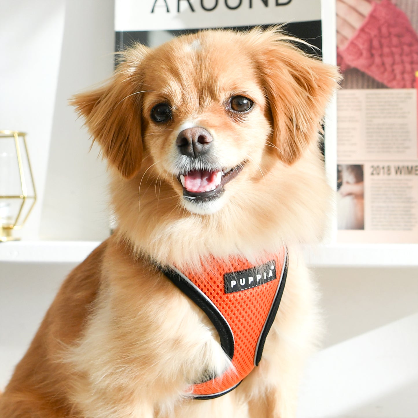 Puppia Soft Harness Pro