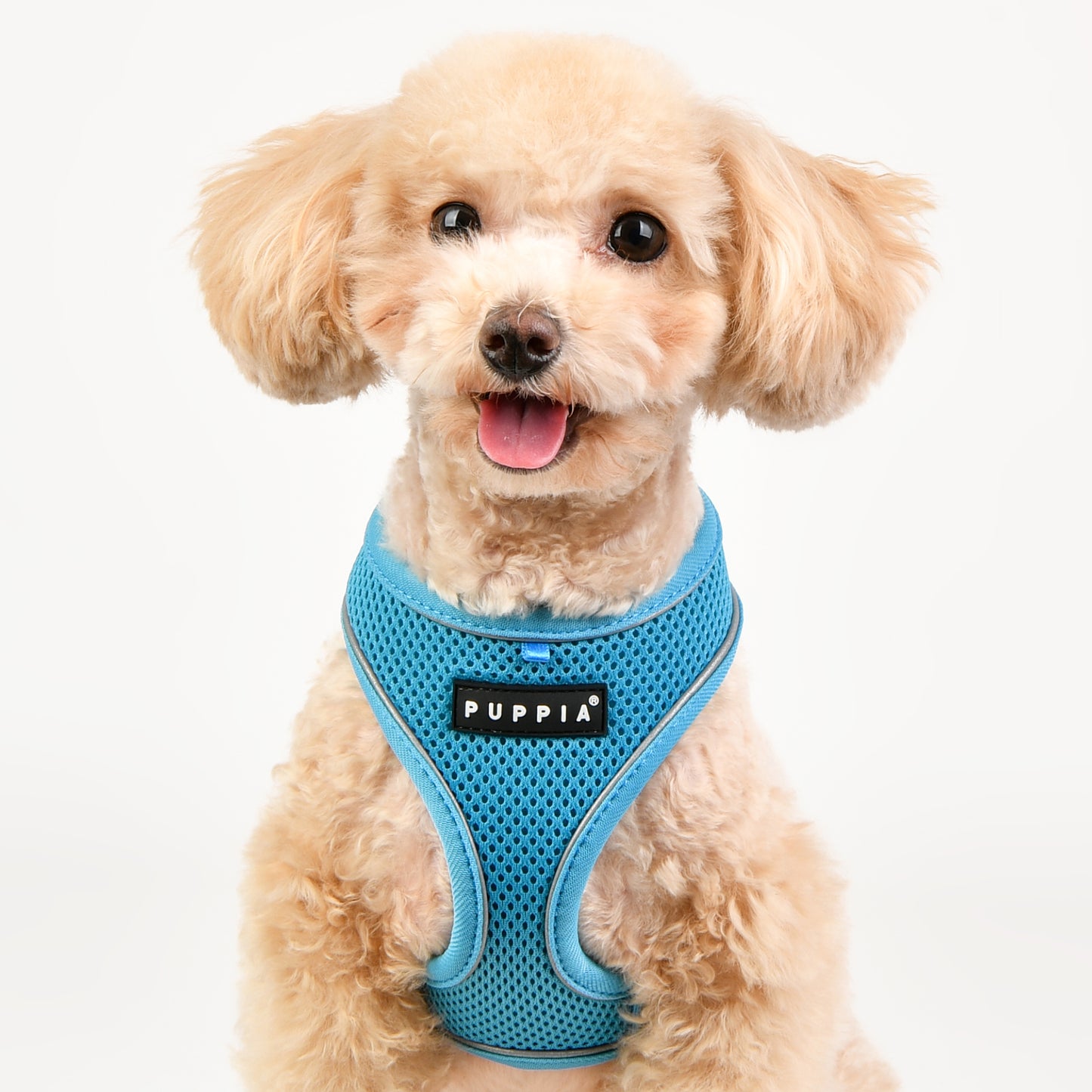 Puppia Soft Harness Pro