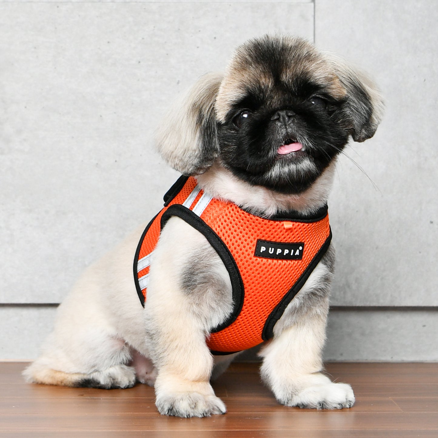 Puppia Soft Vest Harness Pro