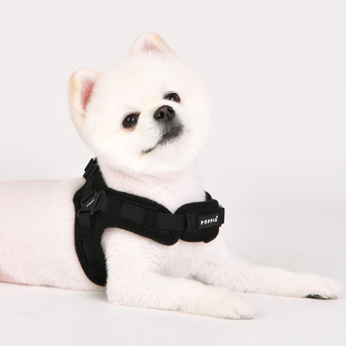 Puppia X Harness