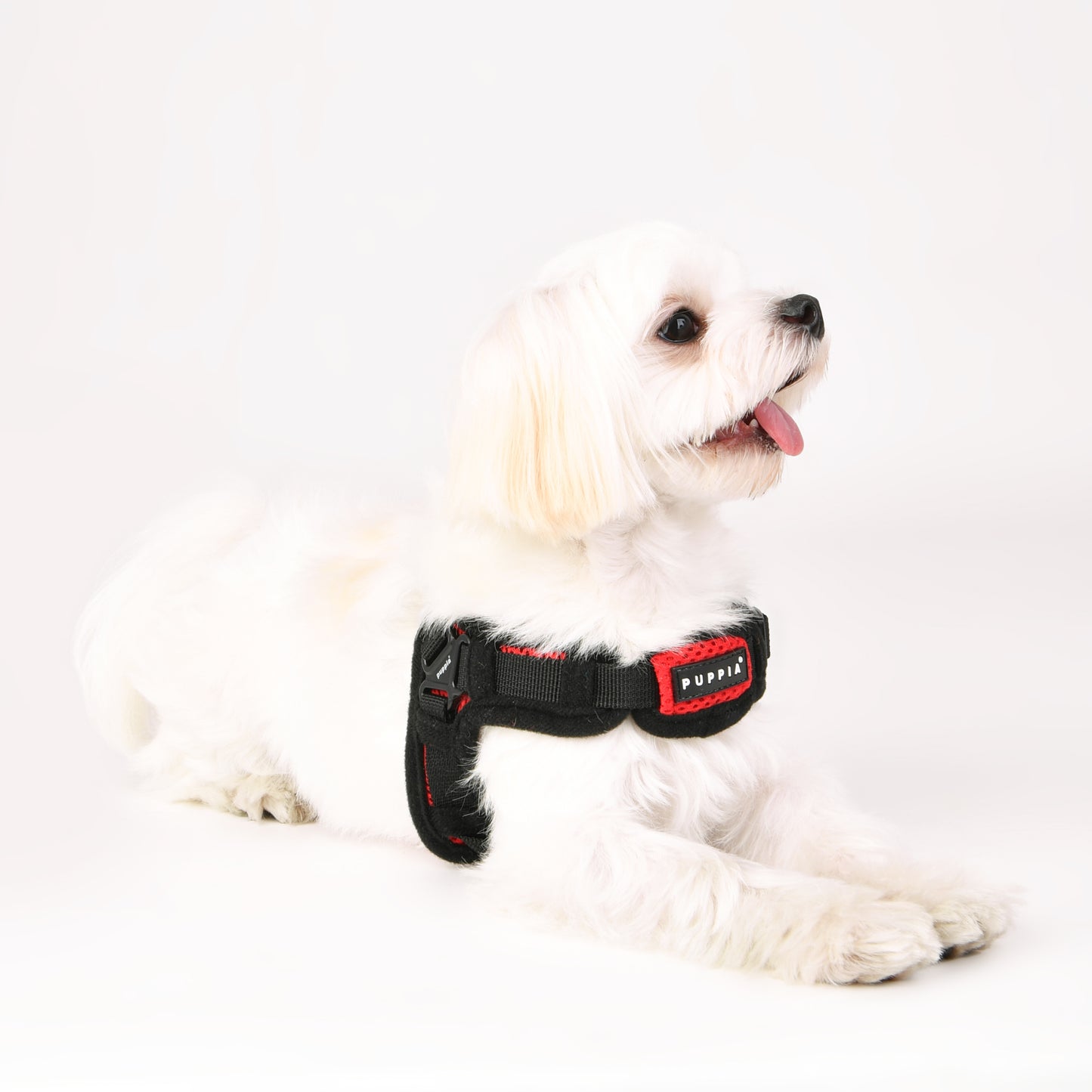 Puppia X Harness