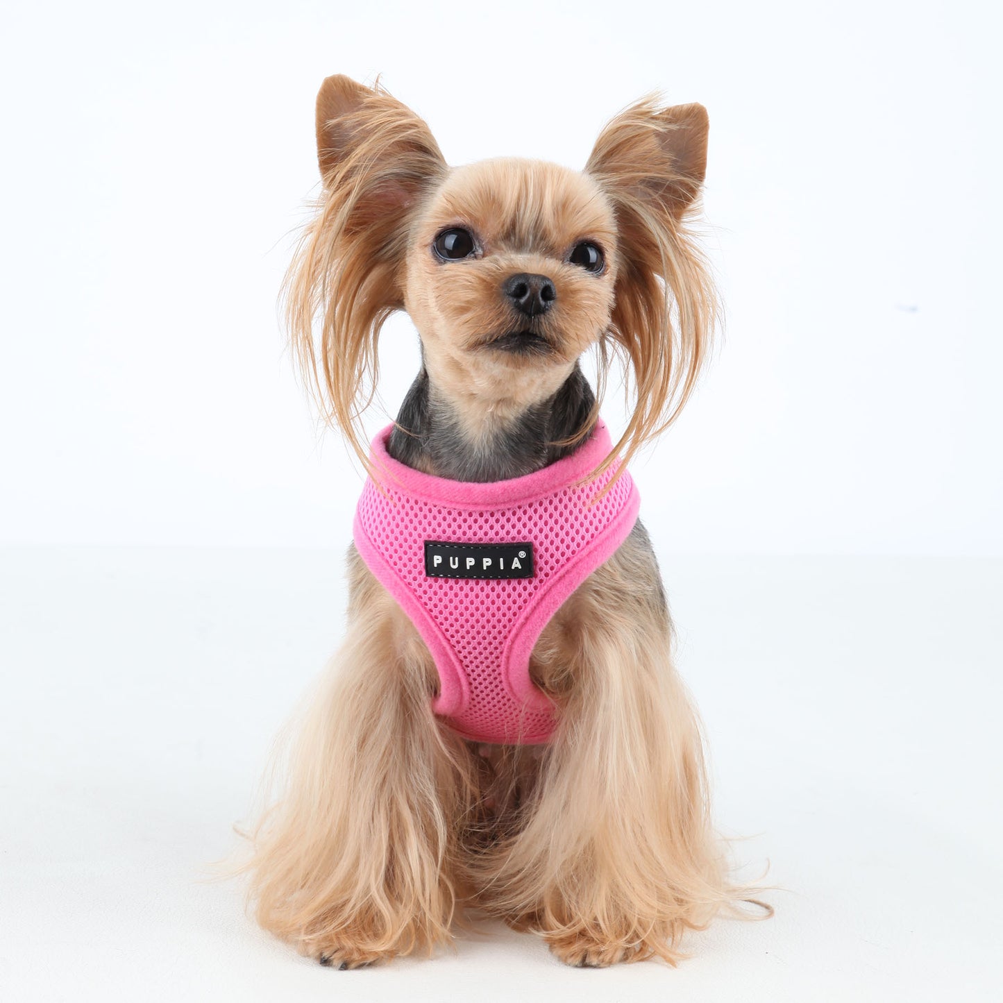 Puppia Soft Harness