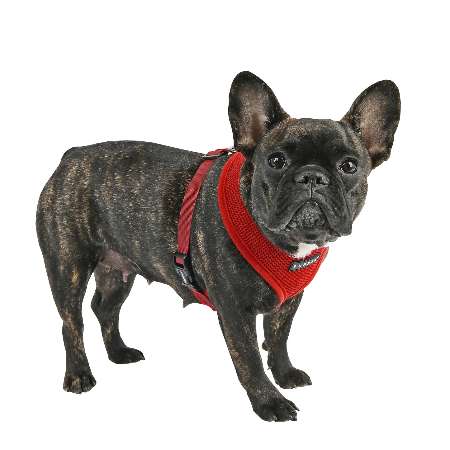 Puppia Soft Harness